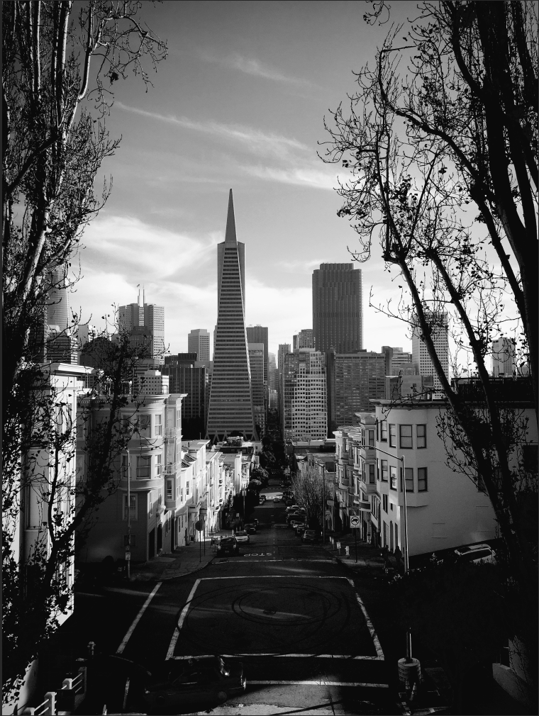 Screen Shot 2021-07-21 at 9.30.22 PM.png