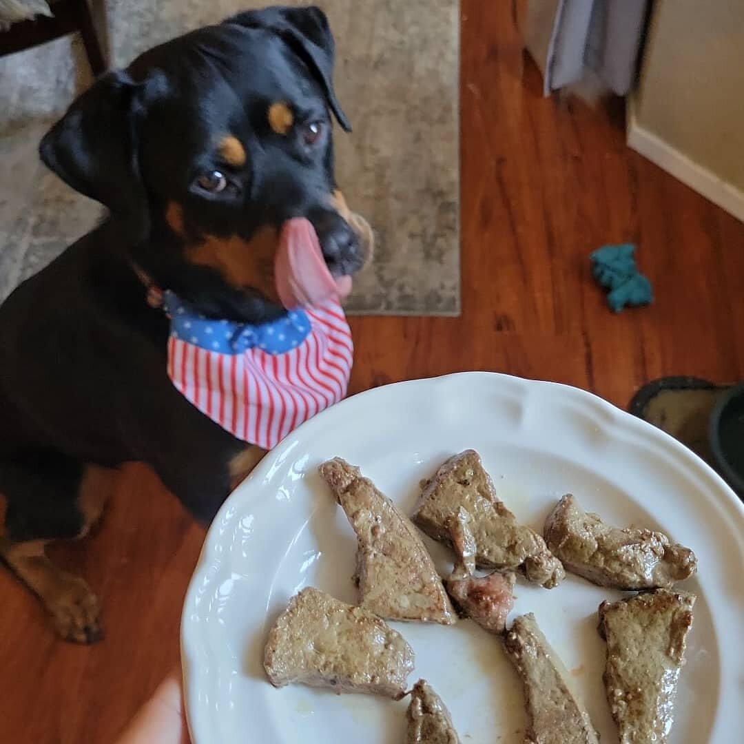 Every year 4th of July is a double celebration in this house! Koba girl turns 4 today 🎉

I love this sweet girl who has been through some of the hardest rock bottom moments of my personal and health journey.

Countless tears she has licked off my fa