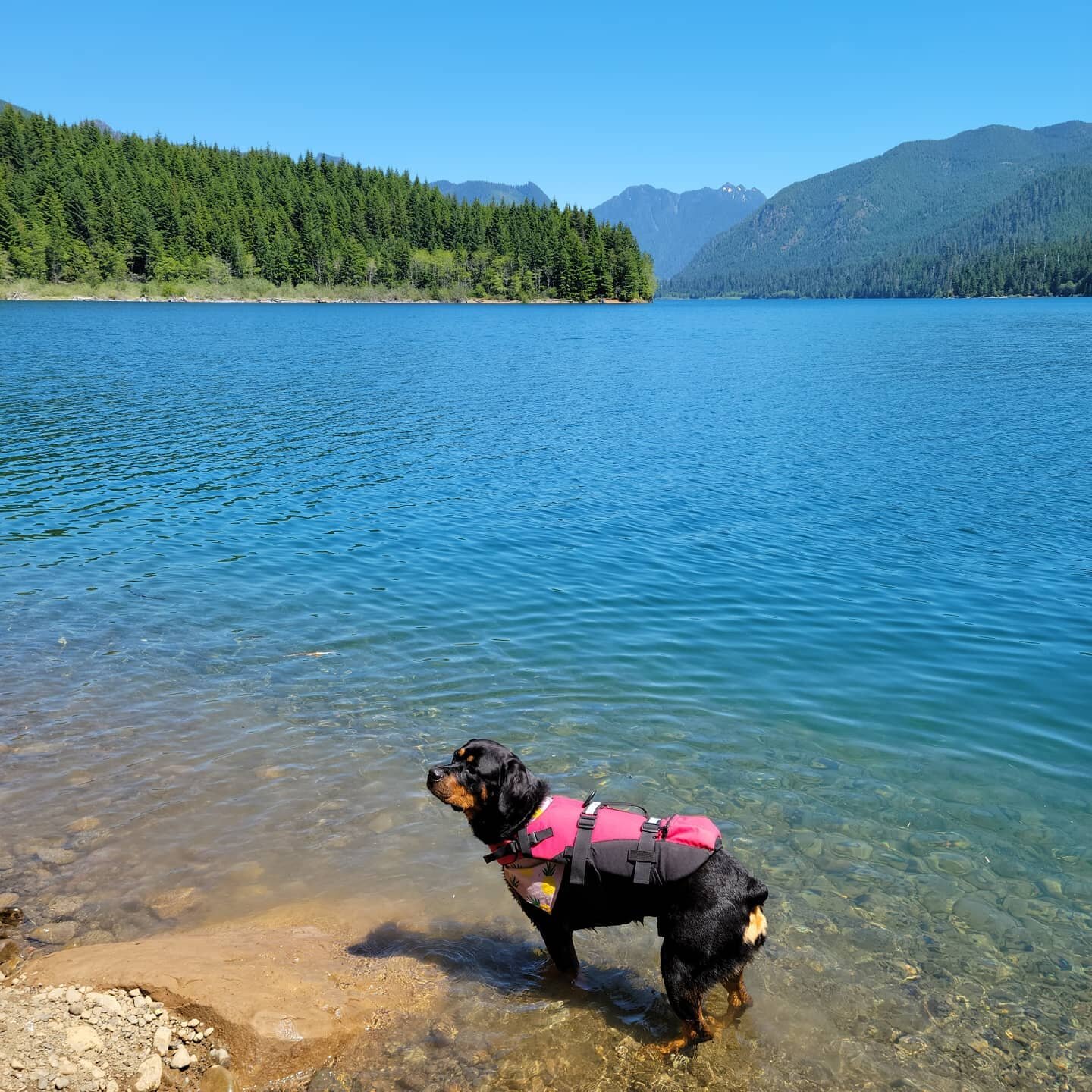 This view for 4 days was th perfect way to escape the 100&deg; heat, or at least try to 😂

Just filling my cup with fun in the sun on this annual camping trip with family and friends!!

How are you escaping/surviving the heat?