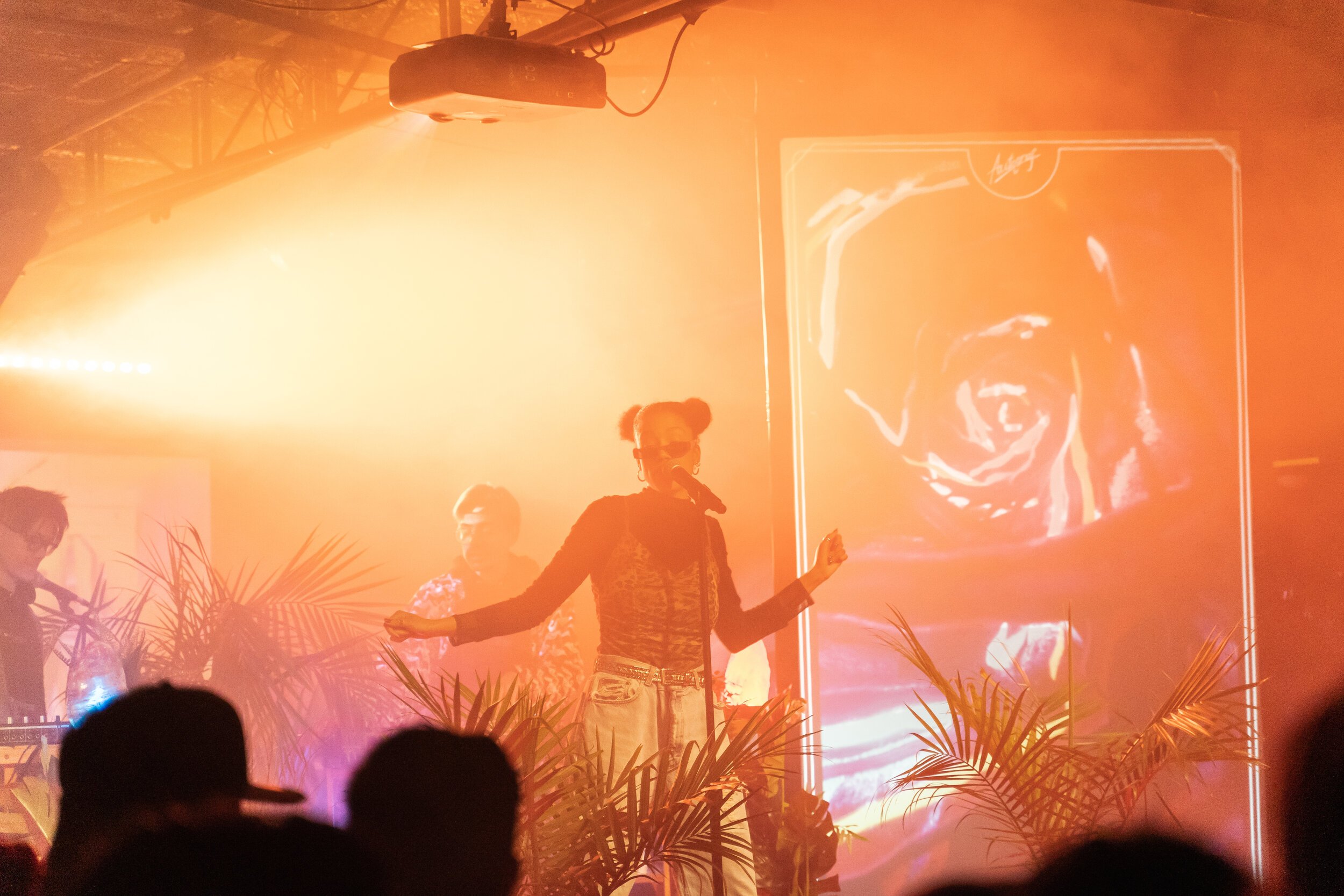 concert-1.jpg