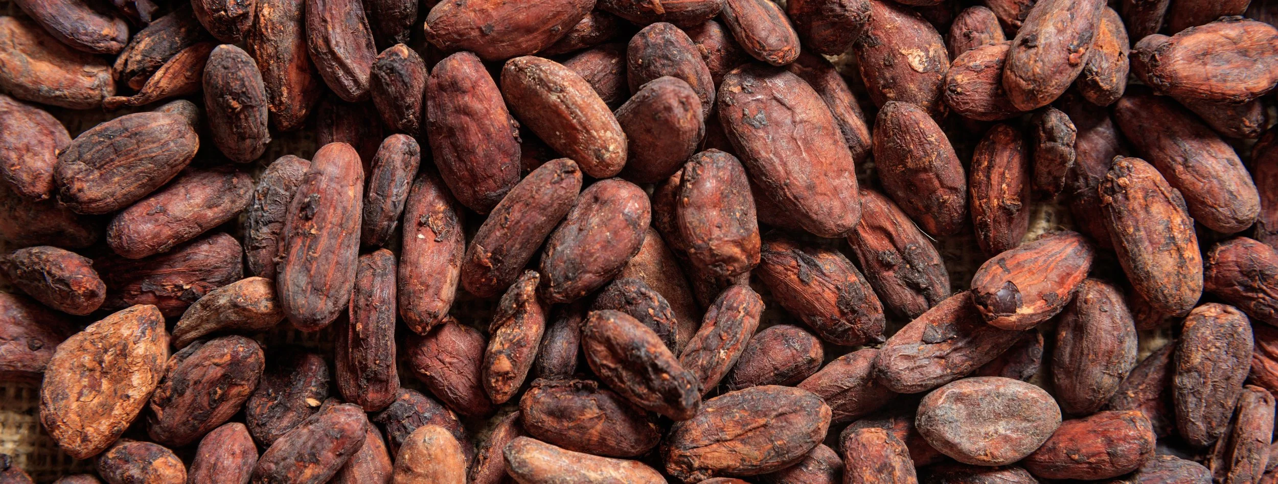 cacaobeans.jpeg