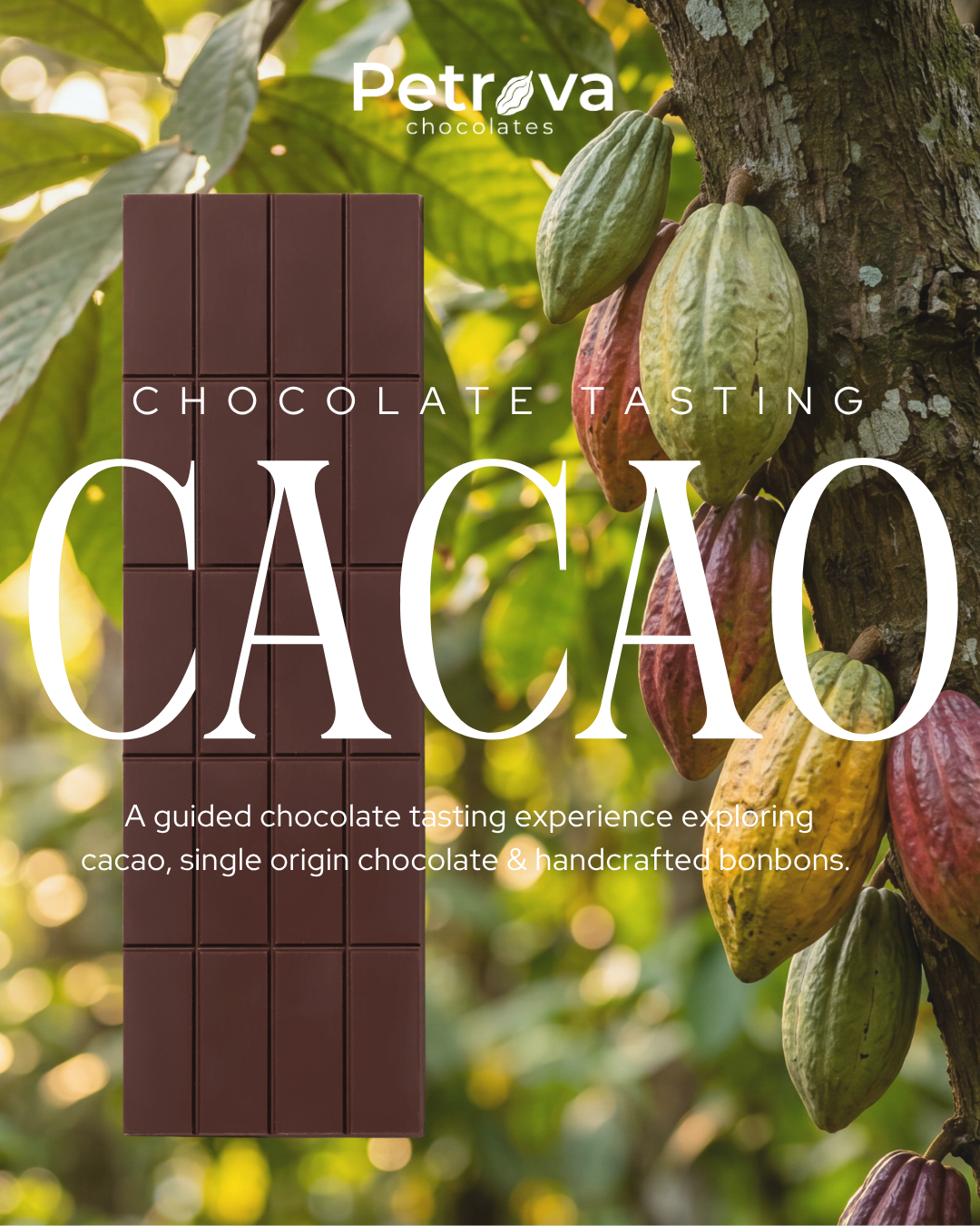 Cacao: A Chocolate Tasting Experience