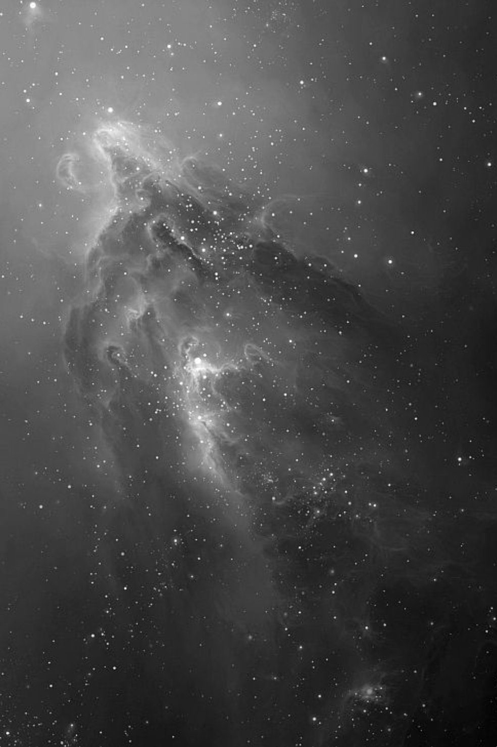 BLACK AND WHITE COSMOS.png