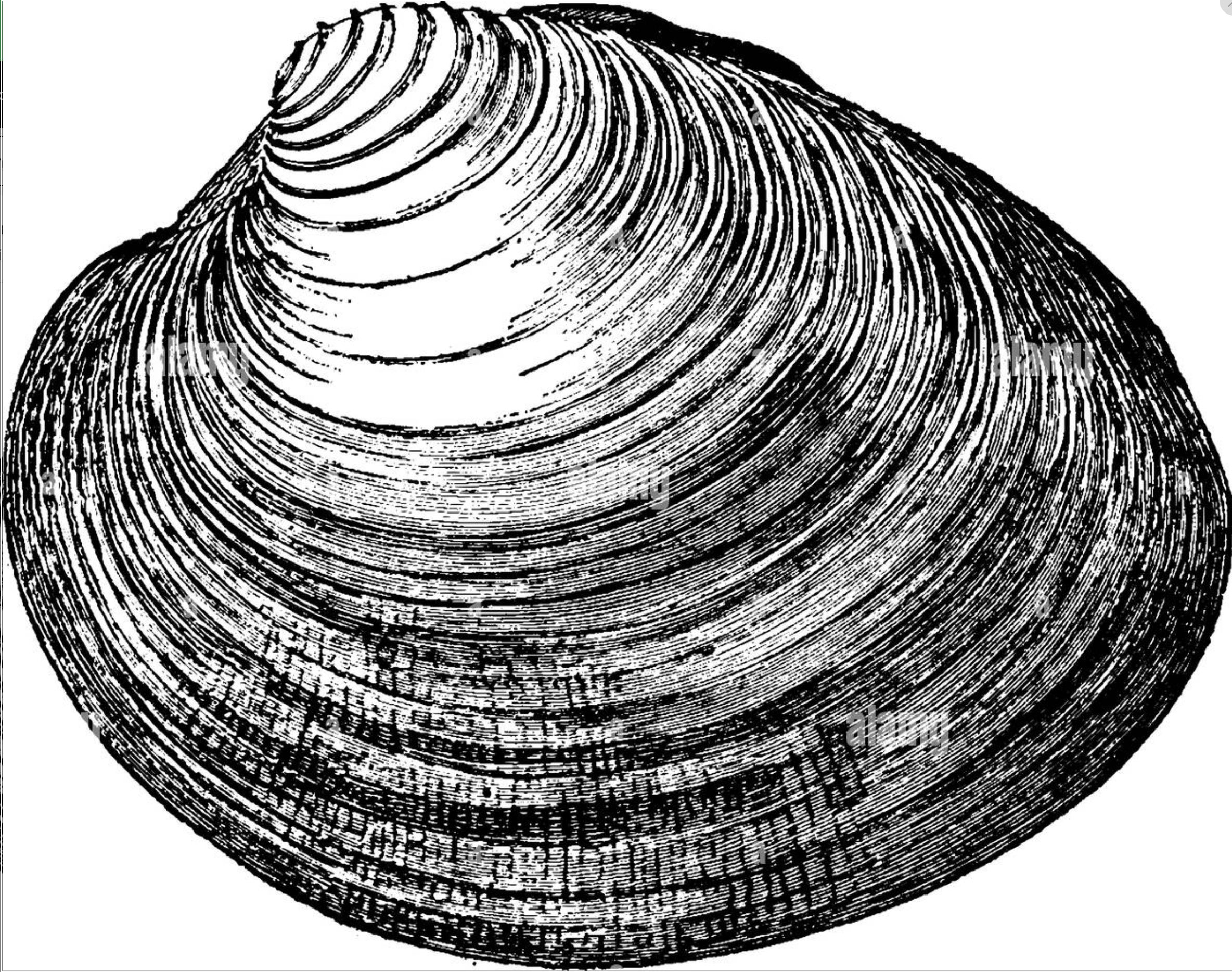 Screenshot 2023-07-23 at 5.59.02 PM.png