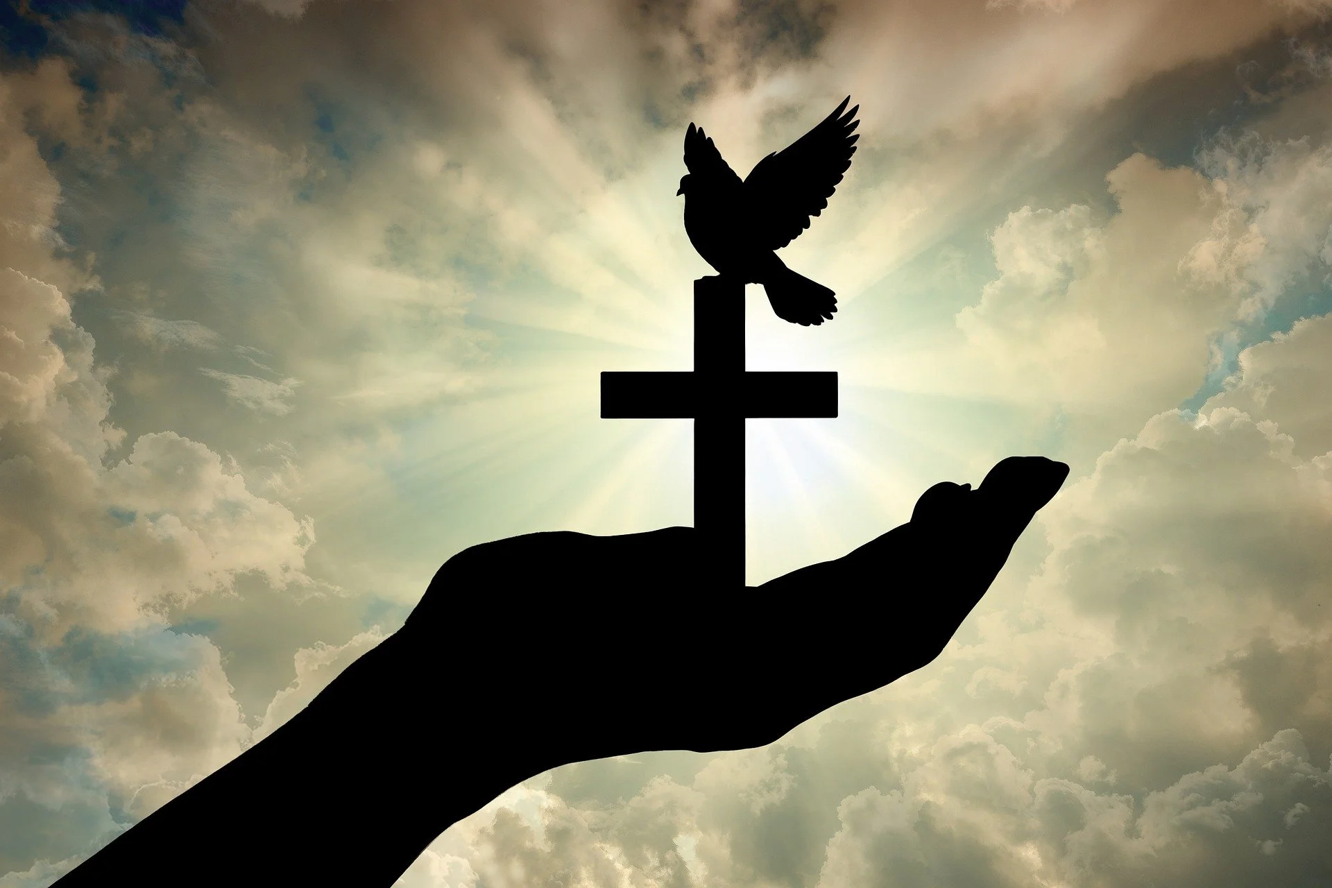 A Respectful Appeal to Muslims | Conform No Longer to the Patterns of This World
