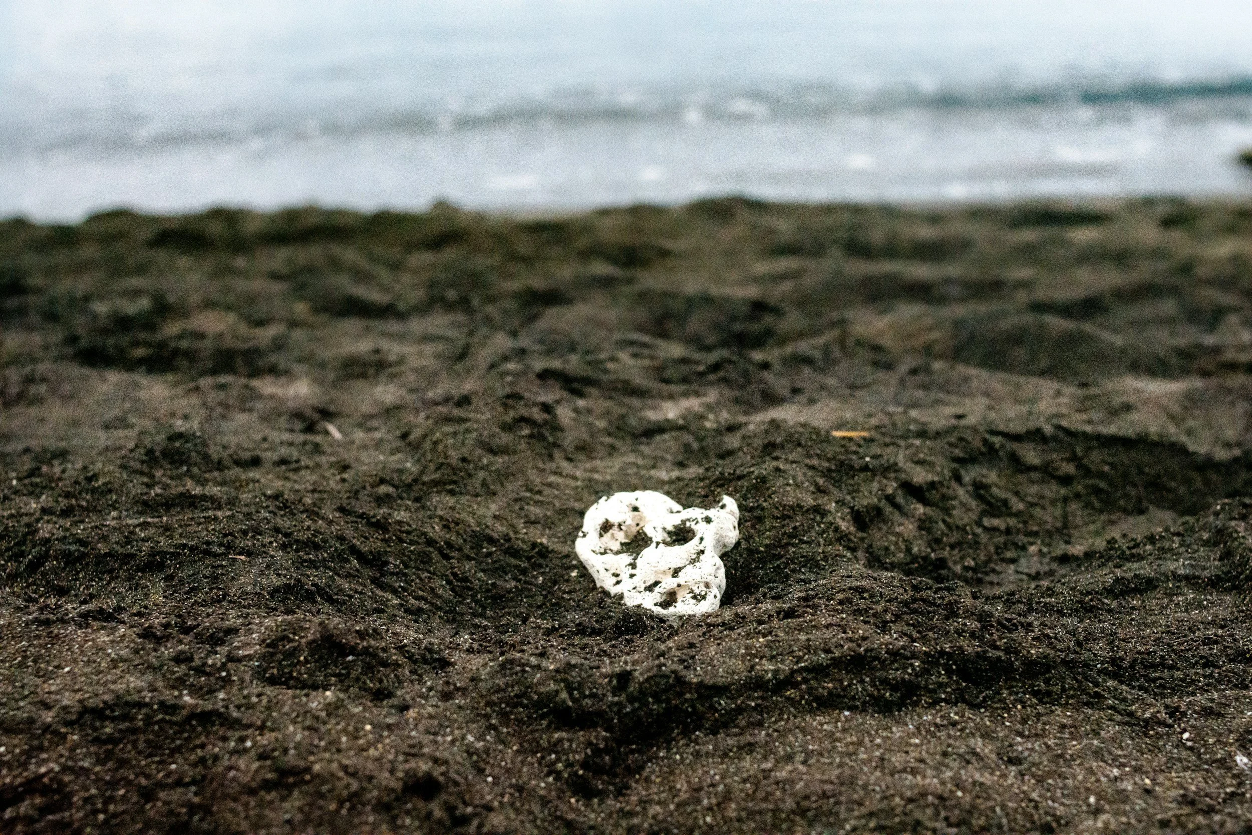 MAY CONNECTIONS FAIR