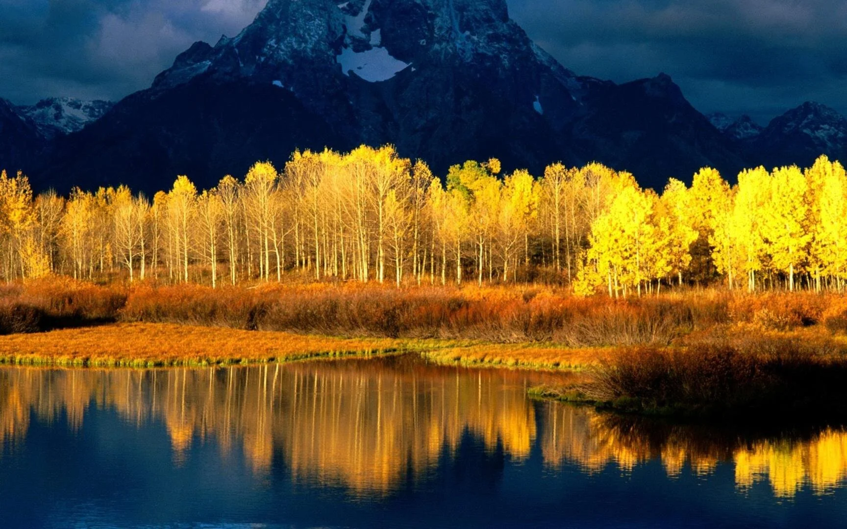 Pando landscape.jpg