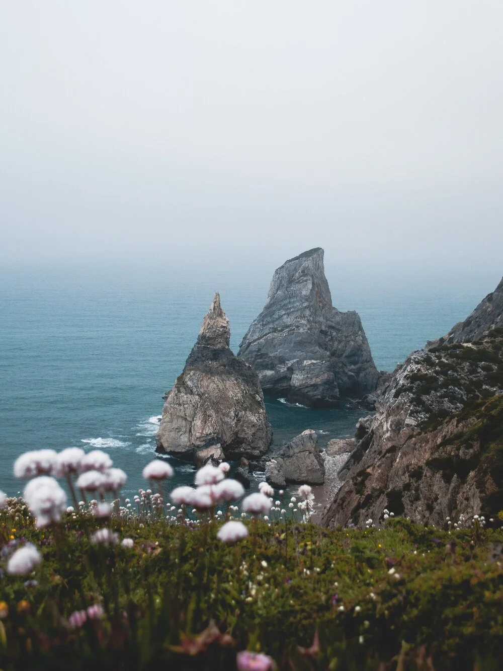 unsplash-image-XXY_XkqFlbA.jpg