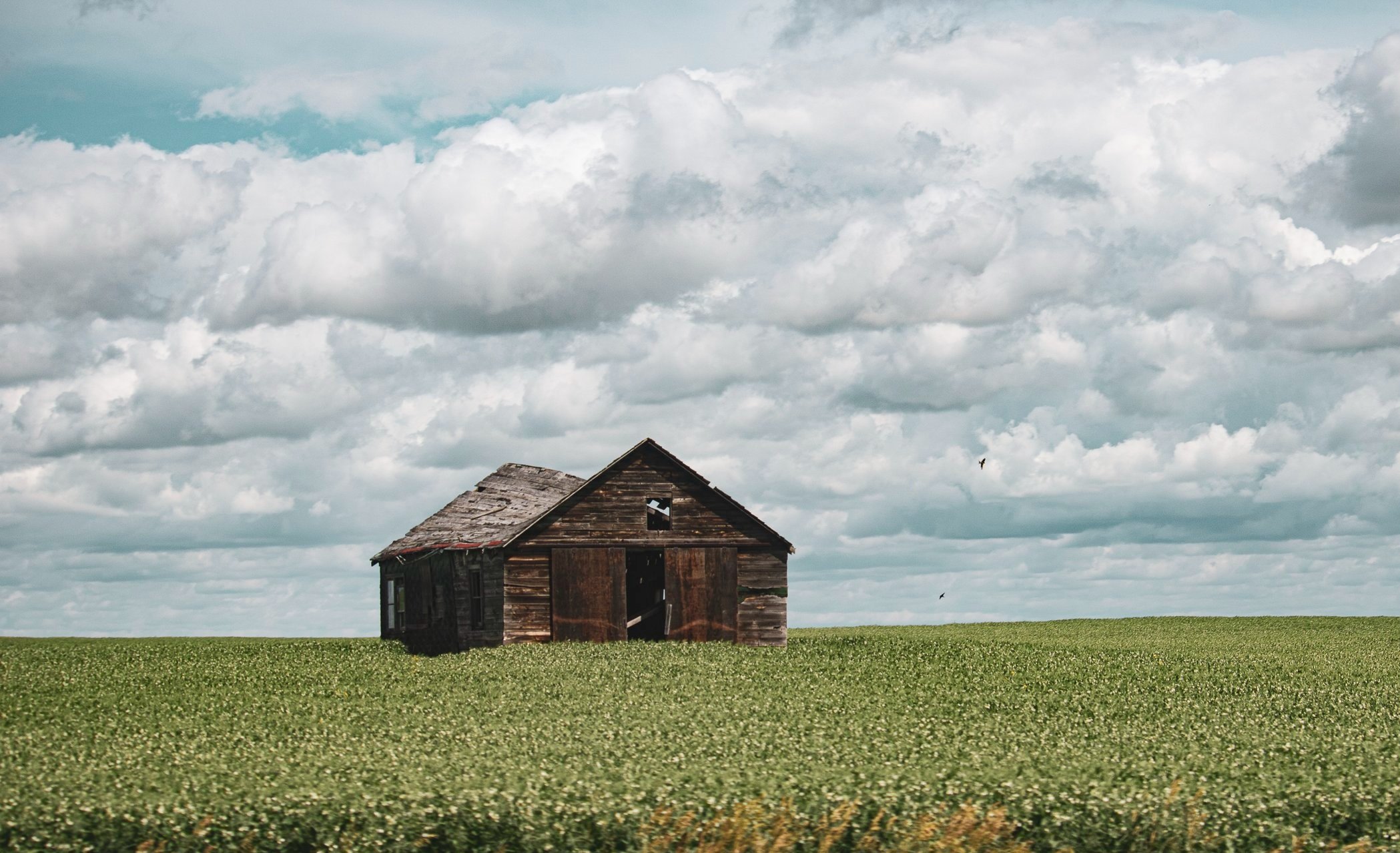 little+house+in+the+prairies.jpg