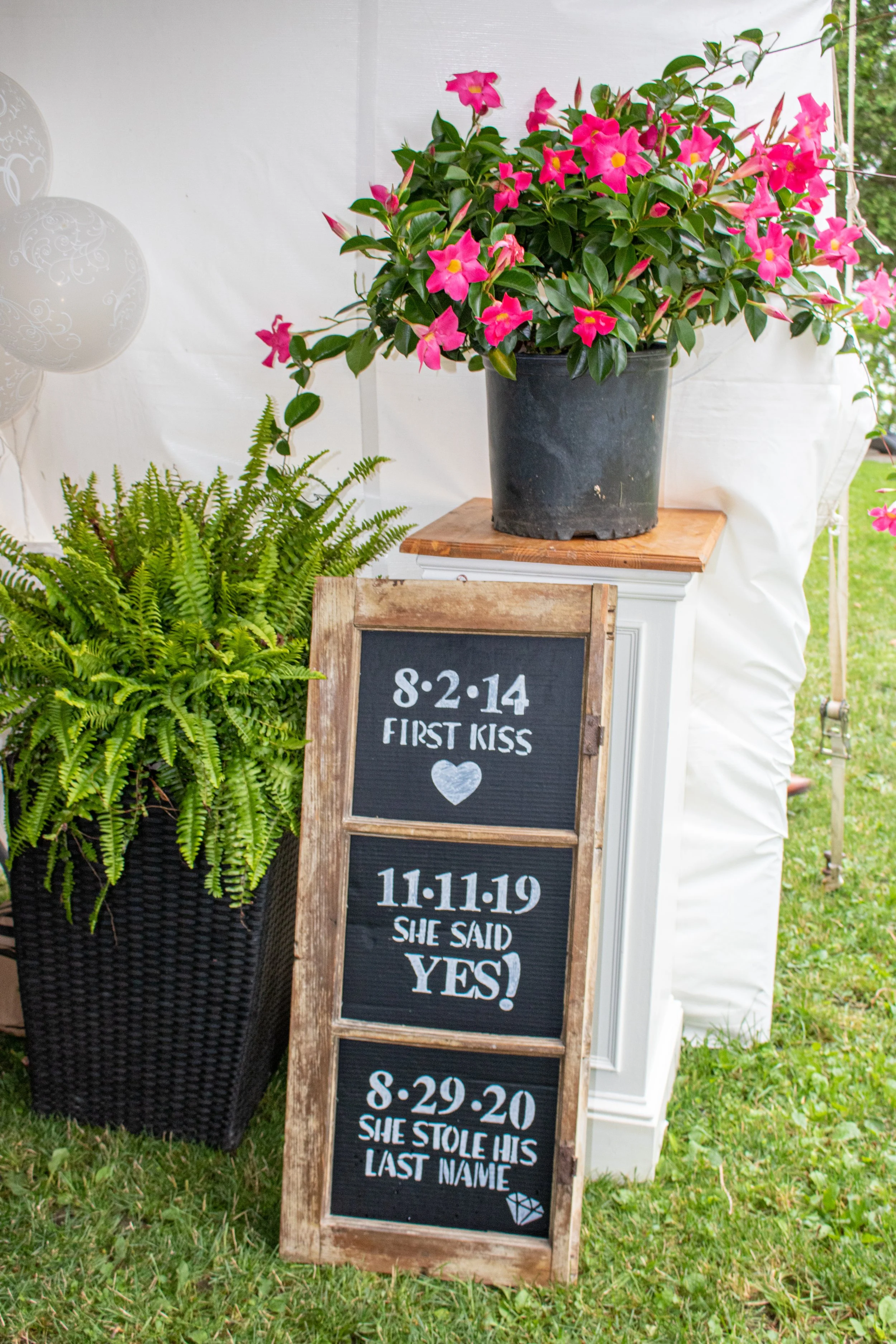 wedding (177 of 344).jpg