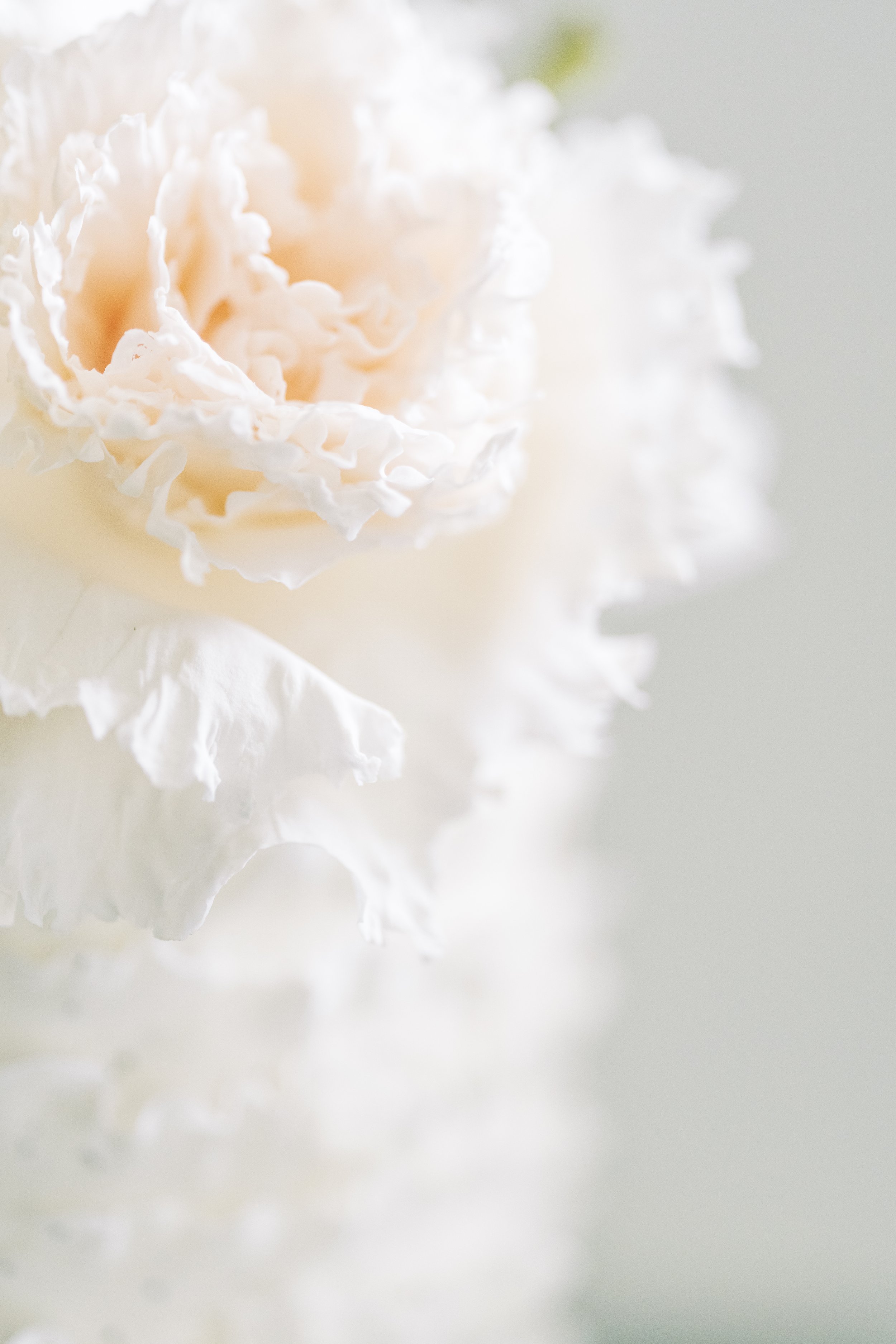 6334E892-F559-43BB-A270-EBB0D9F3FCAD.jpeg