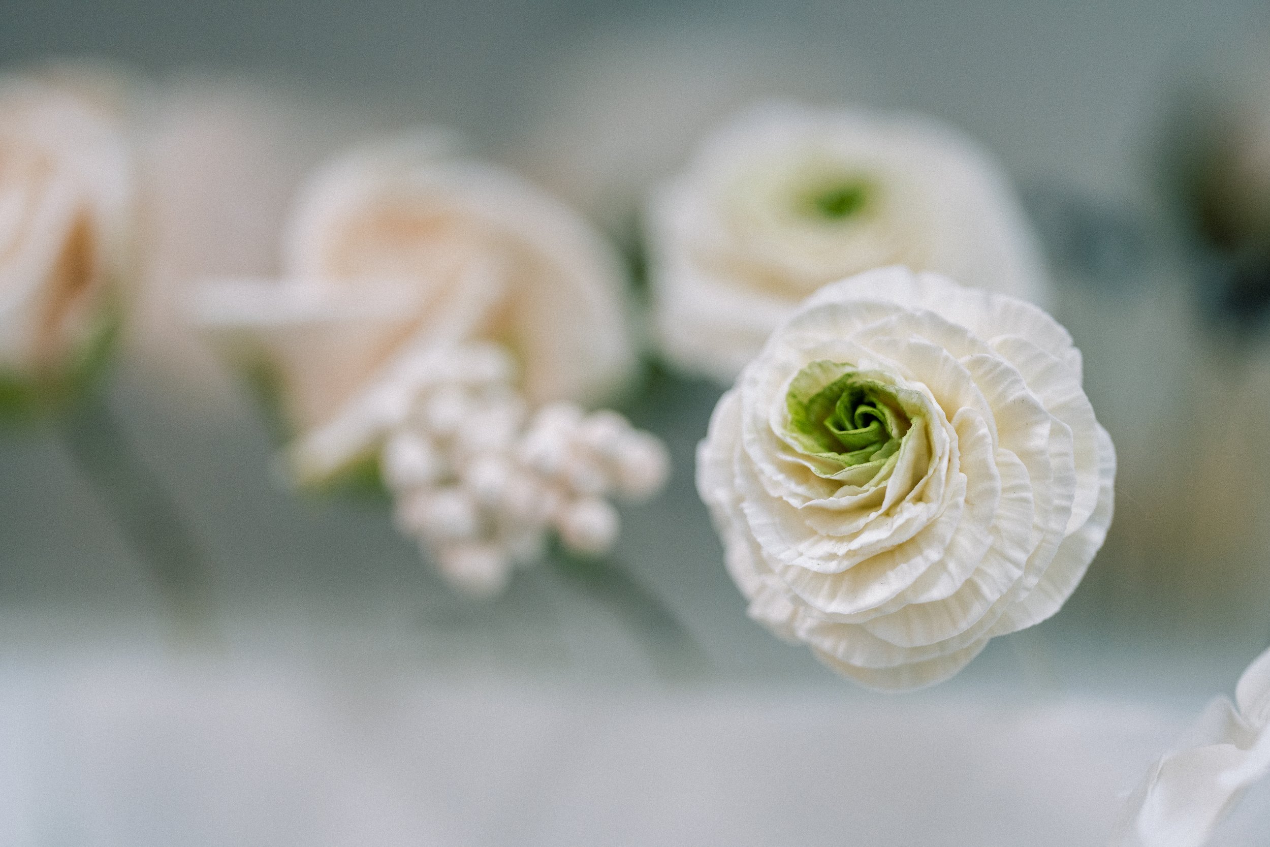 D680DAA5-E749-4F23-A444-302167FF9B81.jpeg