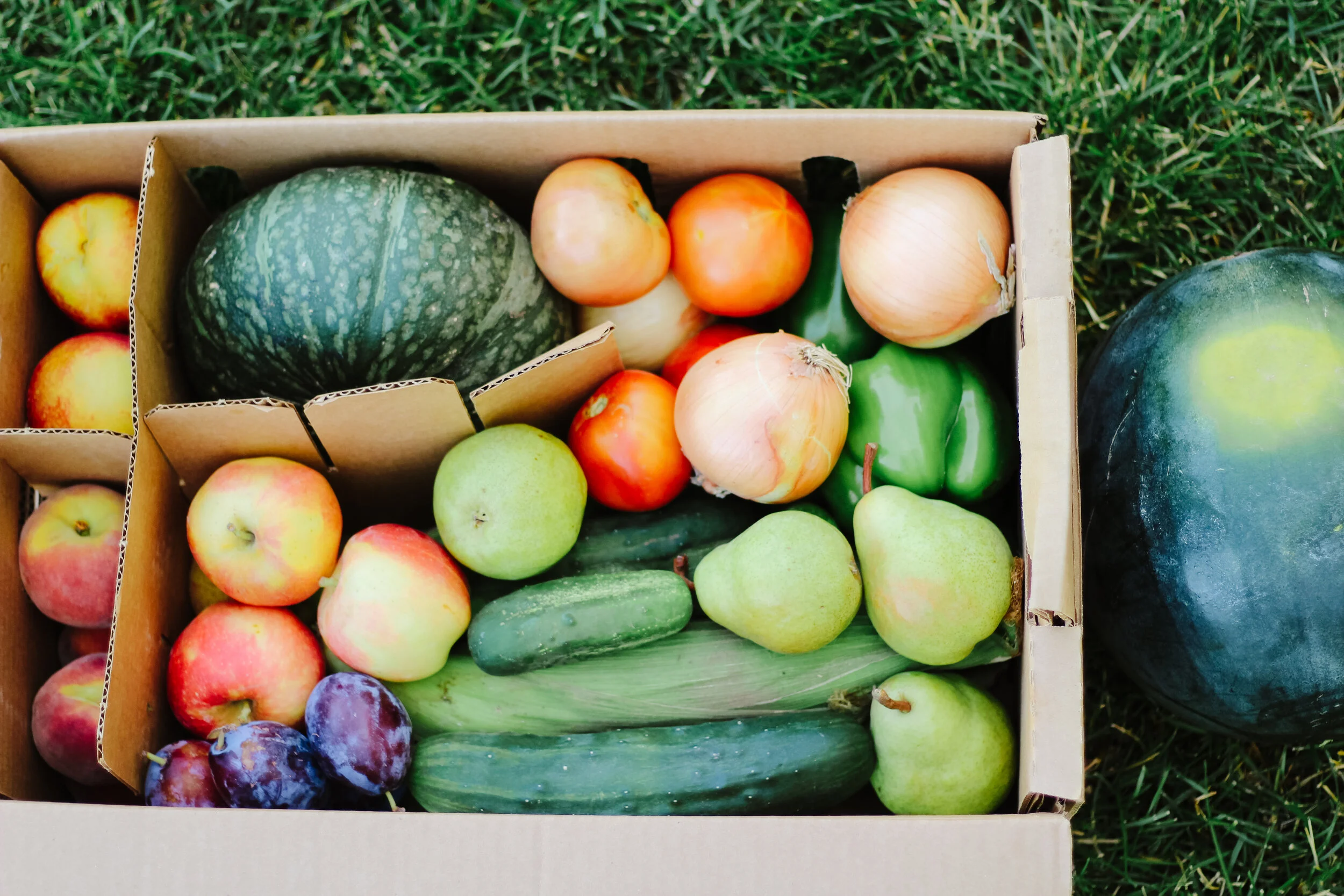 Tagge's Famous Fruit & Veggie Farms