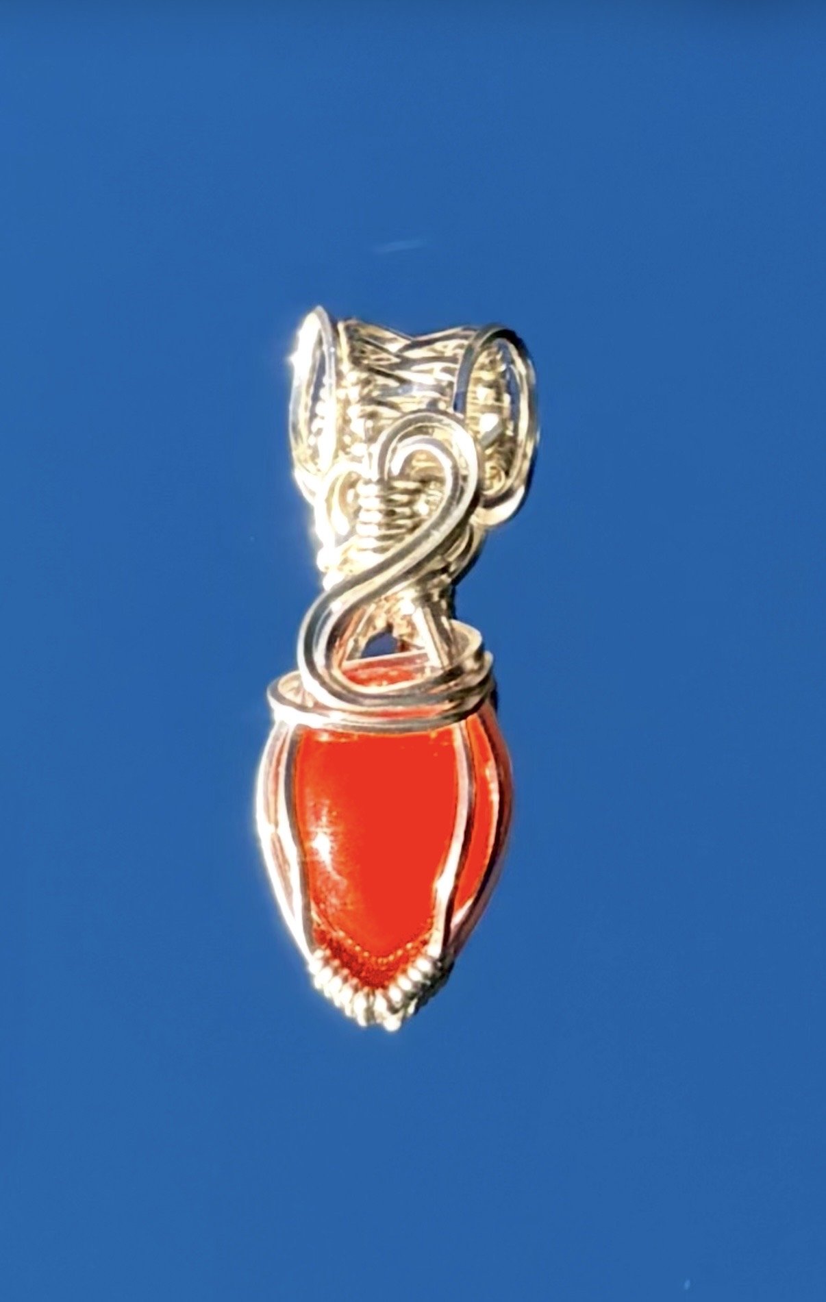 MINI CARN SLV2.jpg