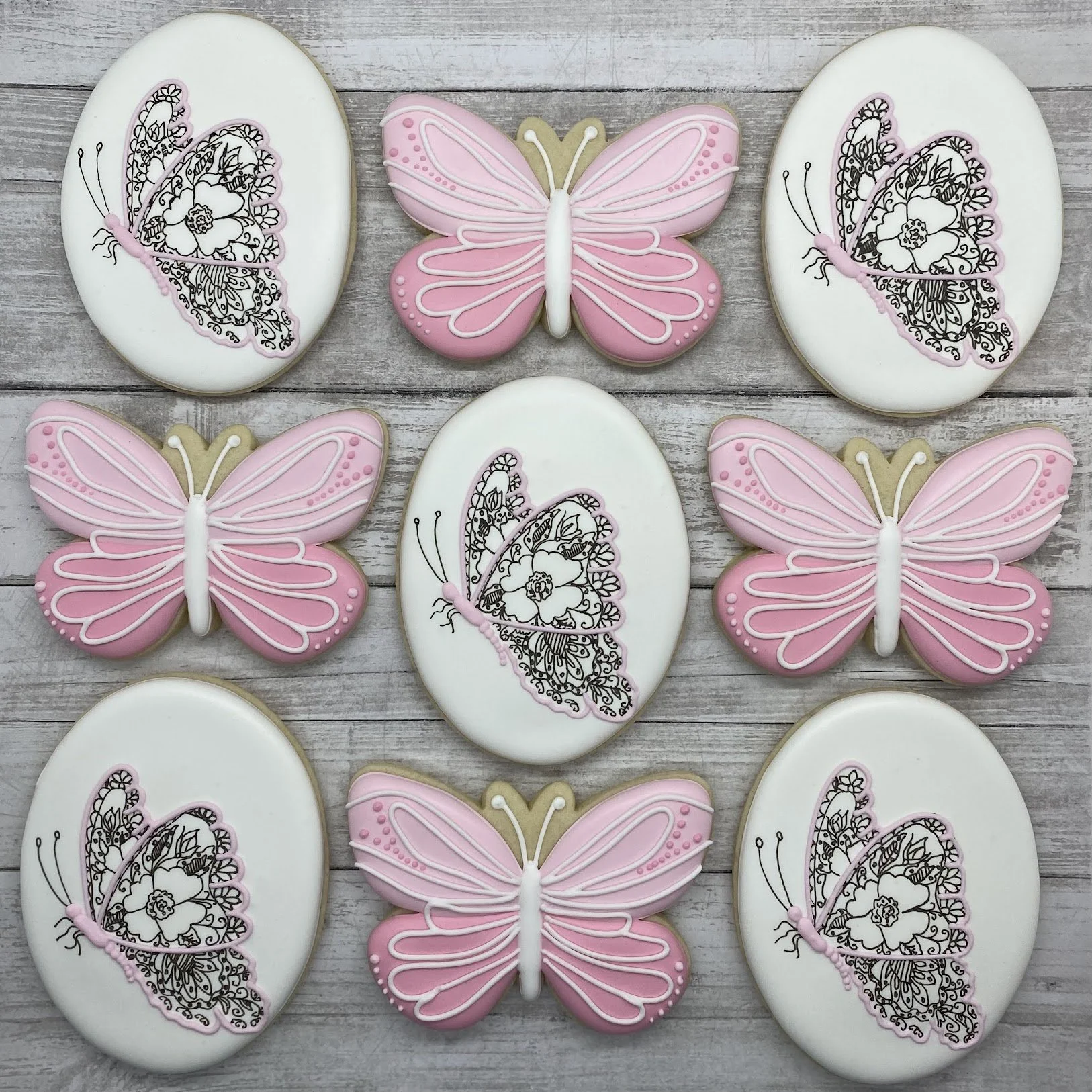 IMG_DaintyButterflies.jpeg