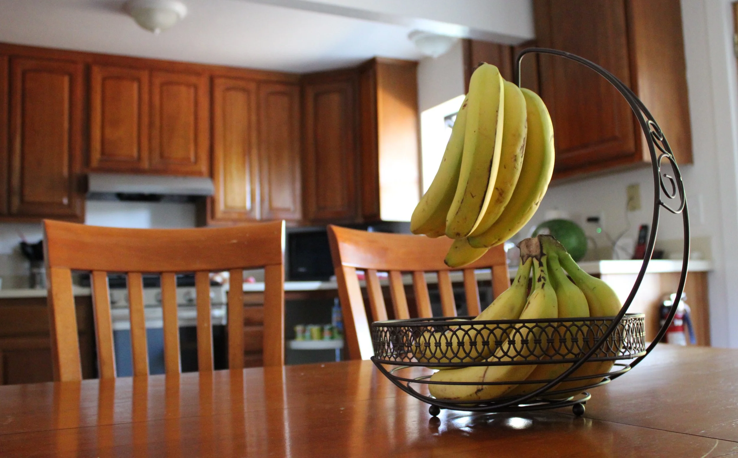 Gibson House Set To Reopen, Looks For Donations