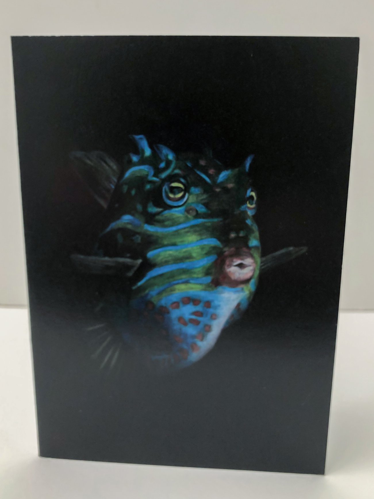 Cowfish-2.jpg