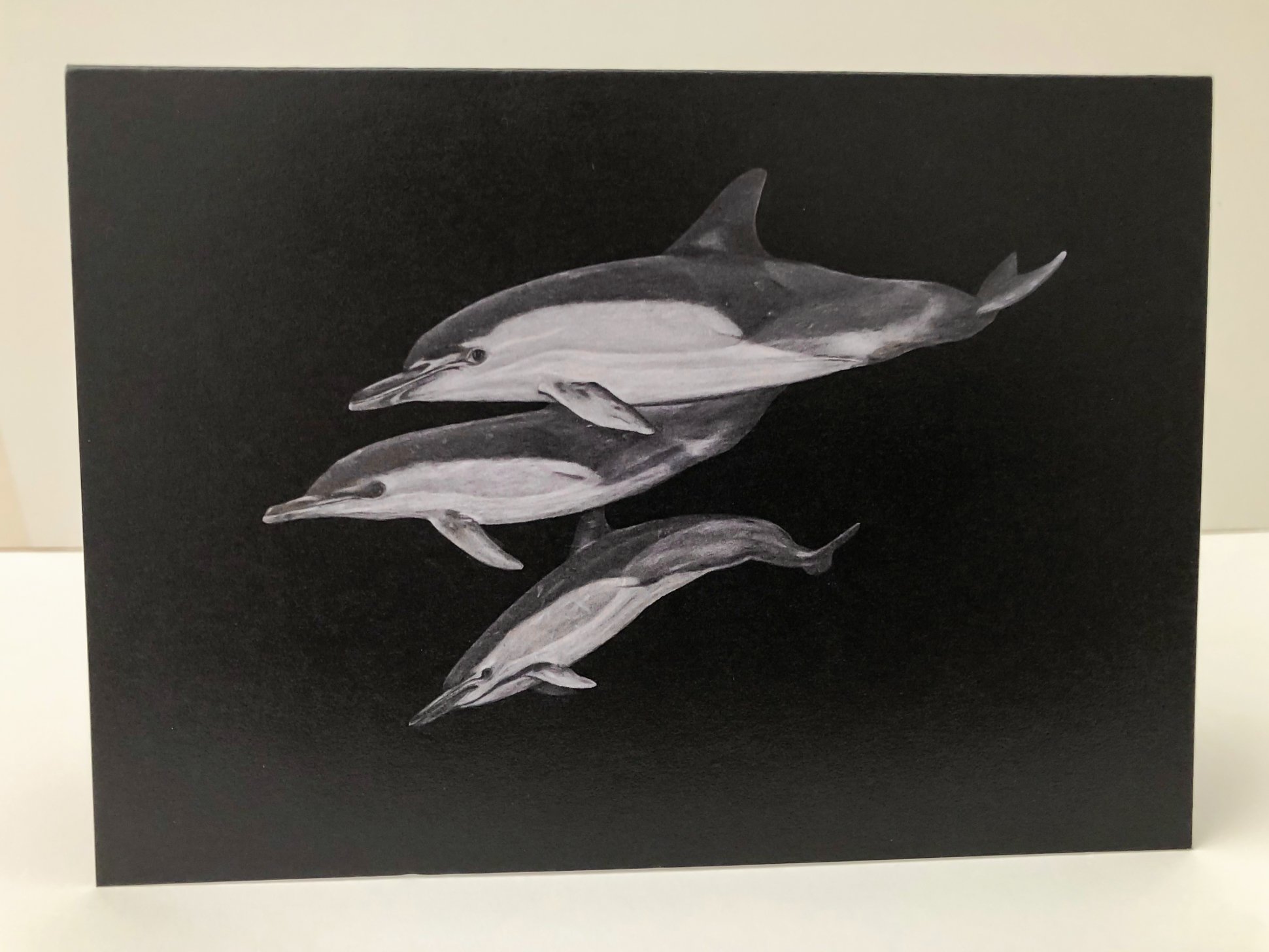 Dolphins (2)-2.jpg