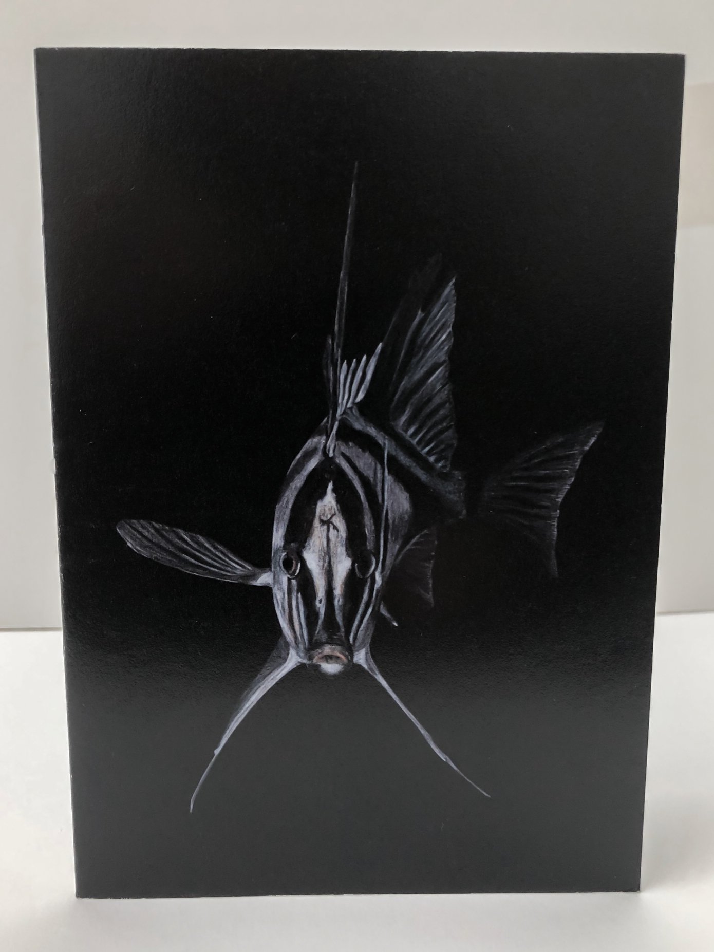 Boarfish-2.jpg