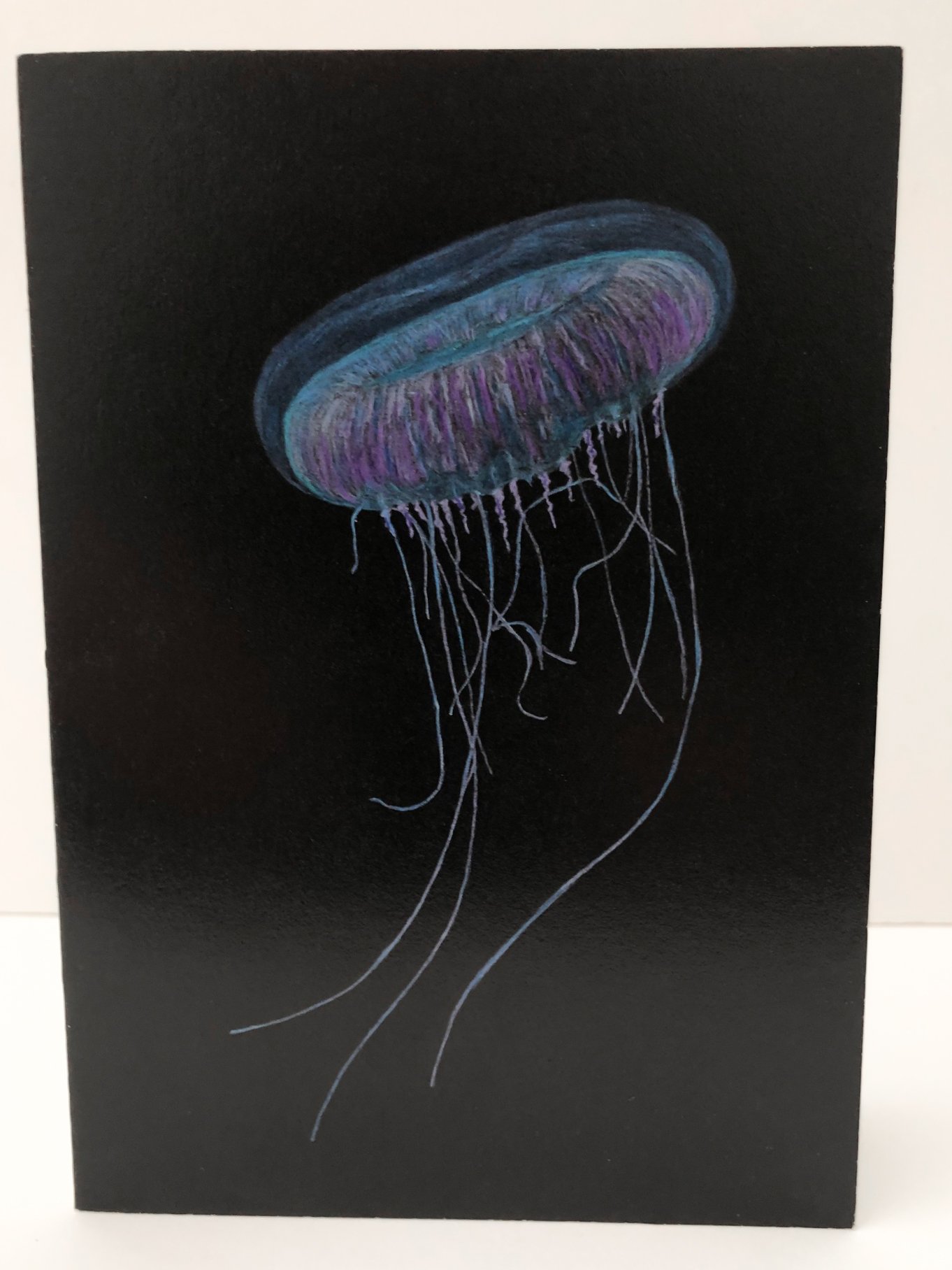 Jelly-2.jpg
