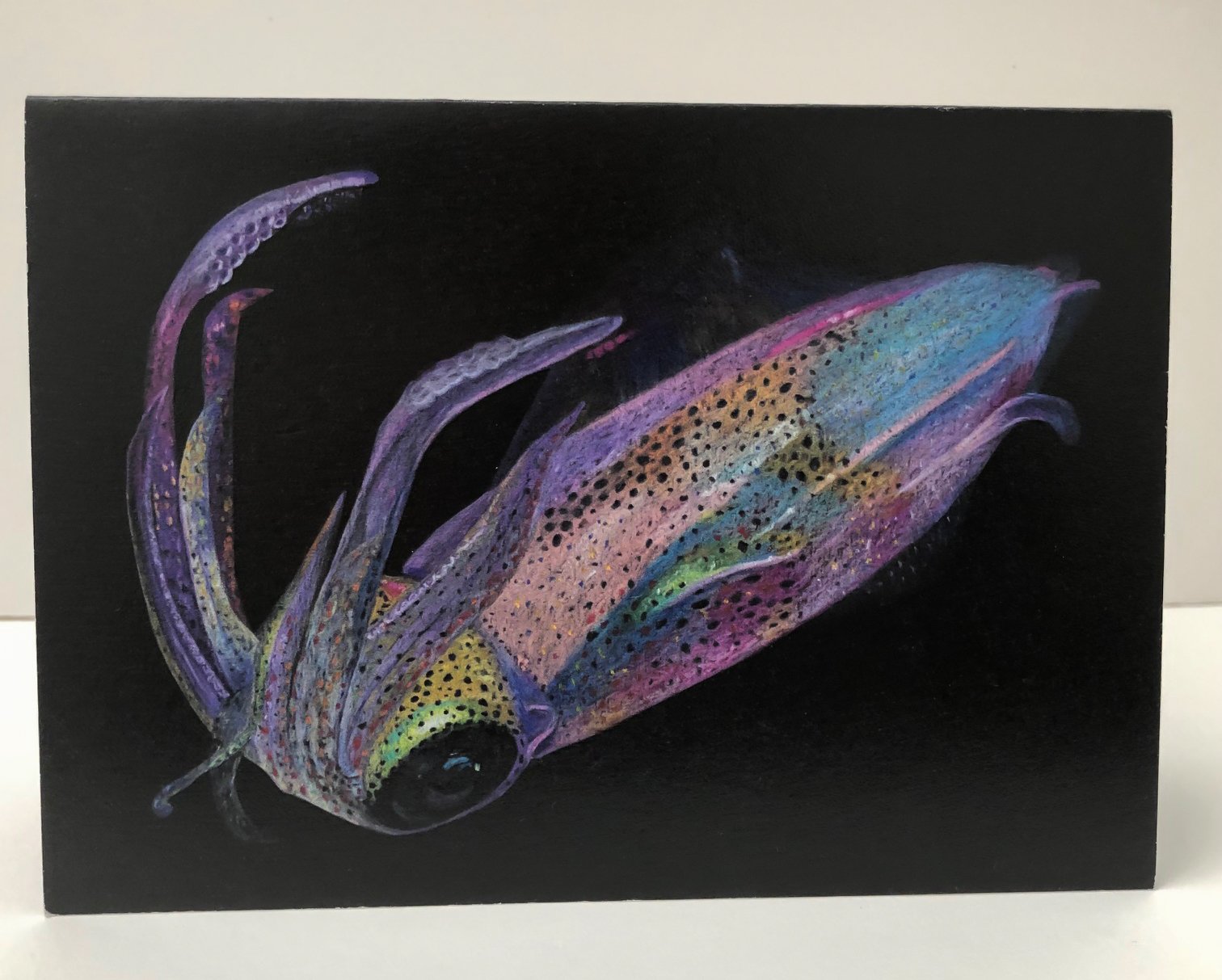 Calamari-2.jpg