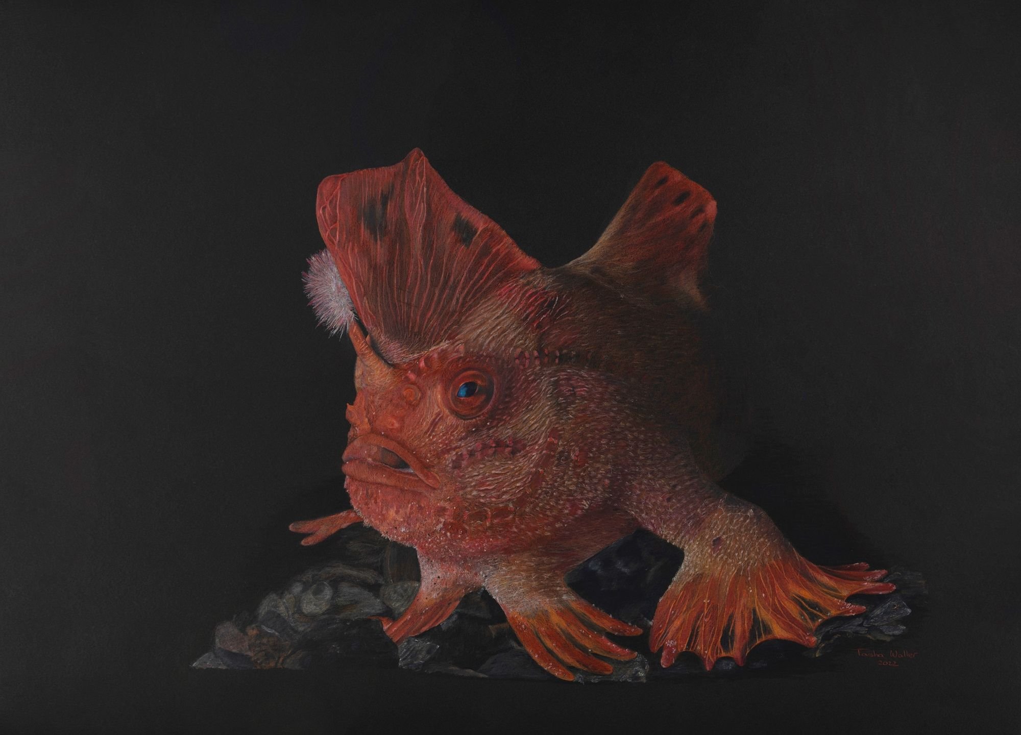 On the Brink - Waller compressed.jpg