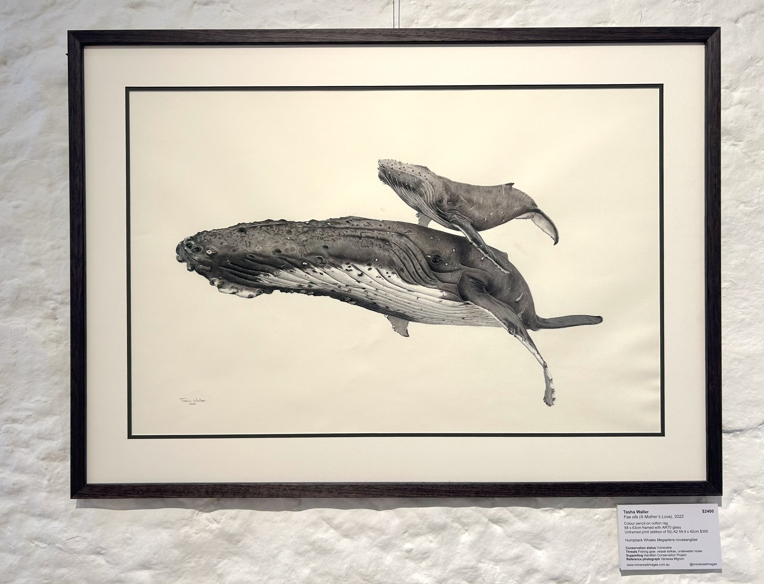 framed whales.jpg