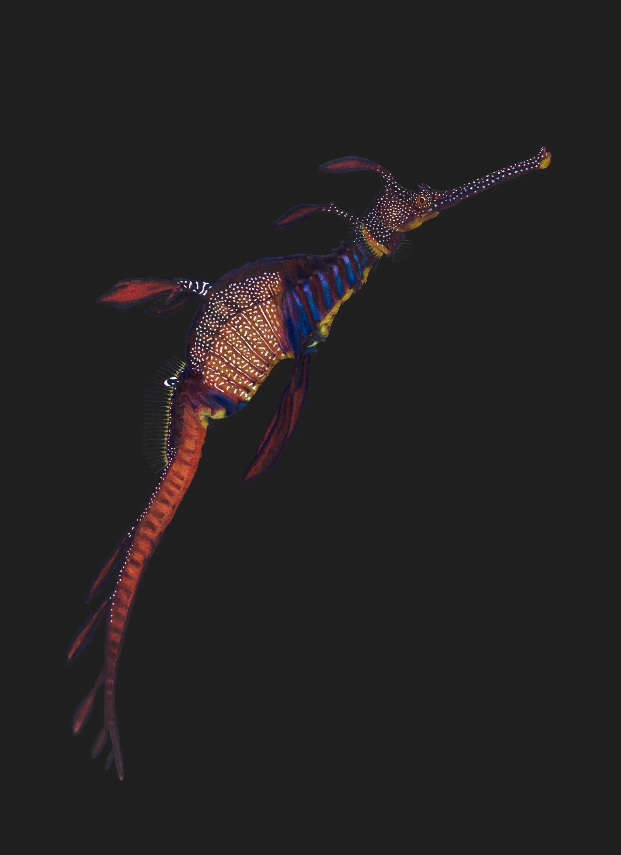 Weedy 3_Waller compressed.jpg