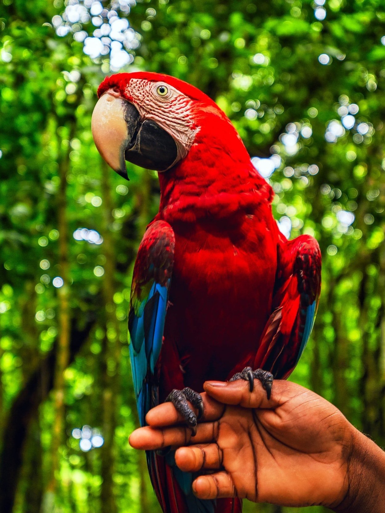unsplash-image-eJHxce6oll8.jpg