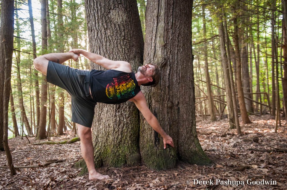 Derek Goodwin in ardha chandrasana half moon yoga pose in forest by a tree