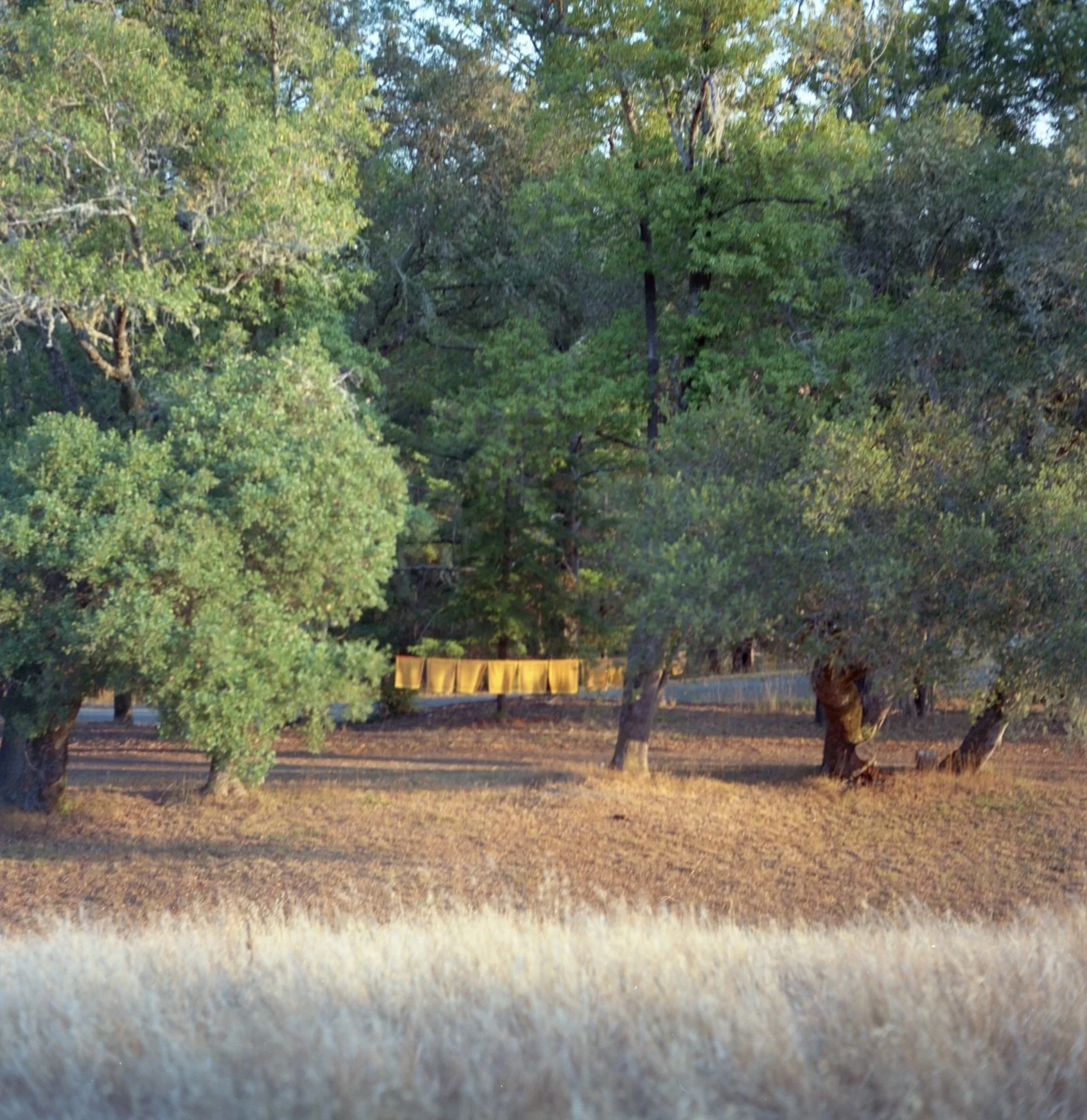 2021_120_Portra160_08.jpg