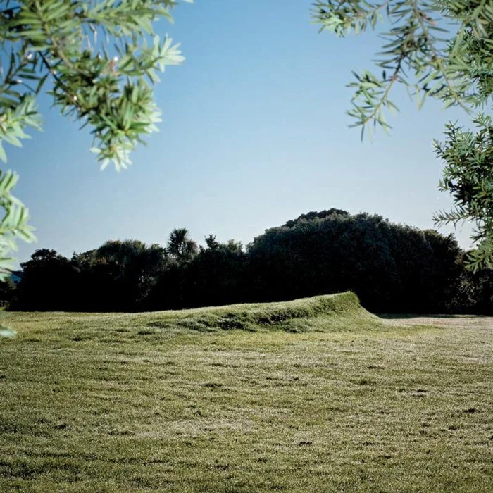 David McCracken, The land is slowly liquid, soil, grass seed, 1200mm x 40m x 6m