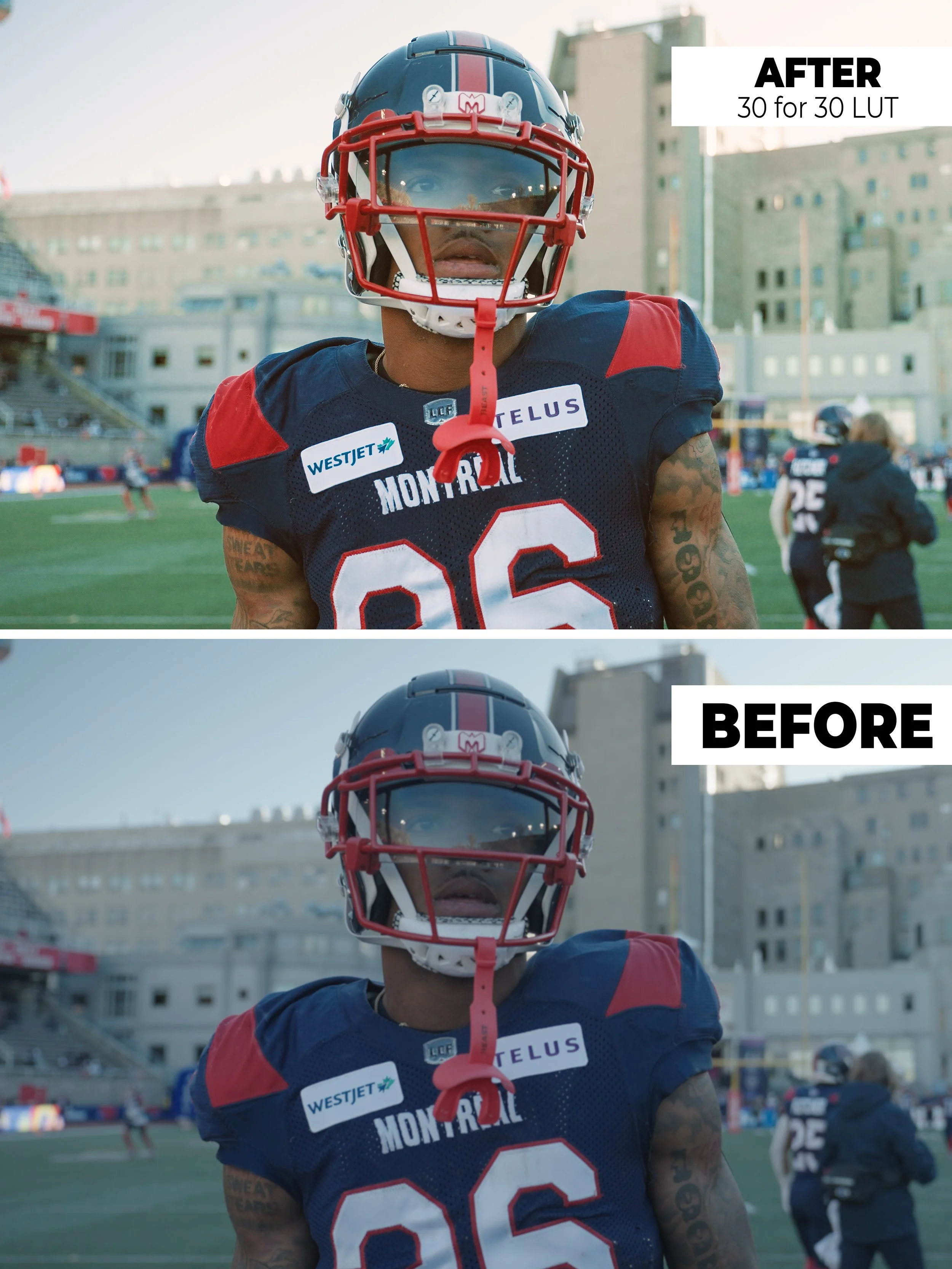 30 for 30 LUT.jpg