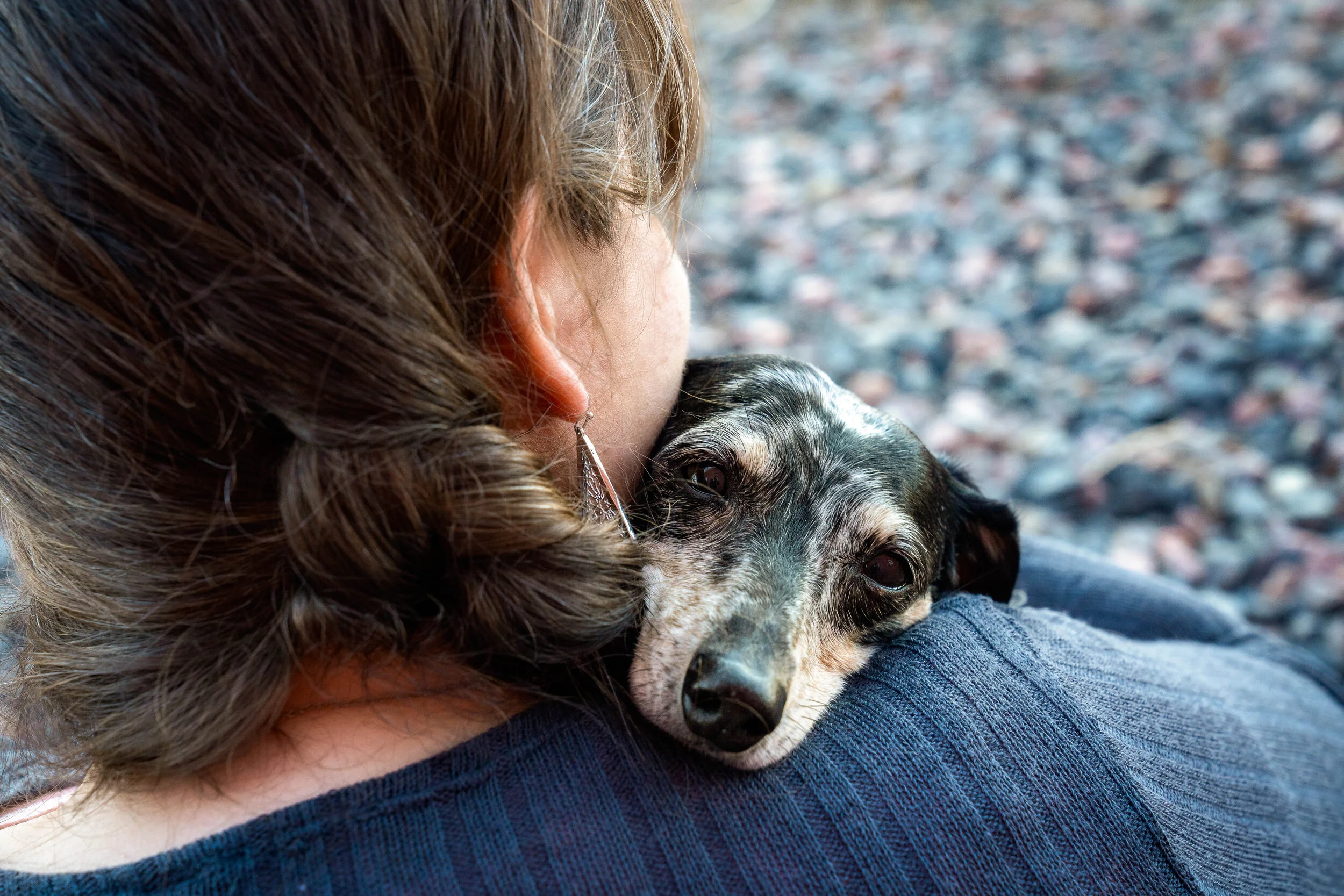 Kimber Full Size for Printing-2.jpg