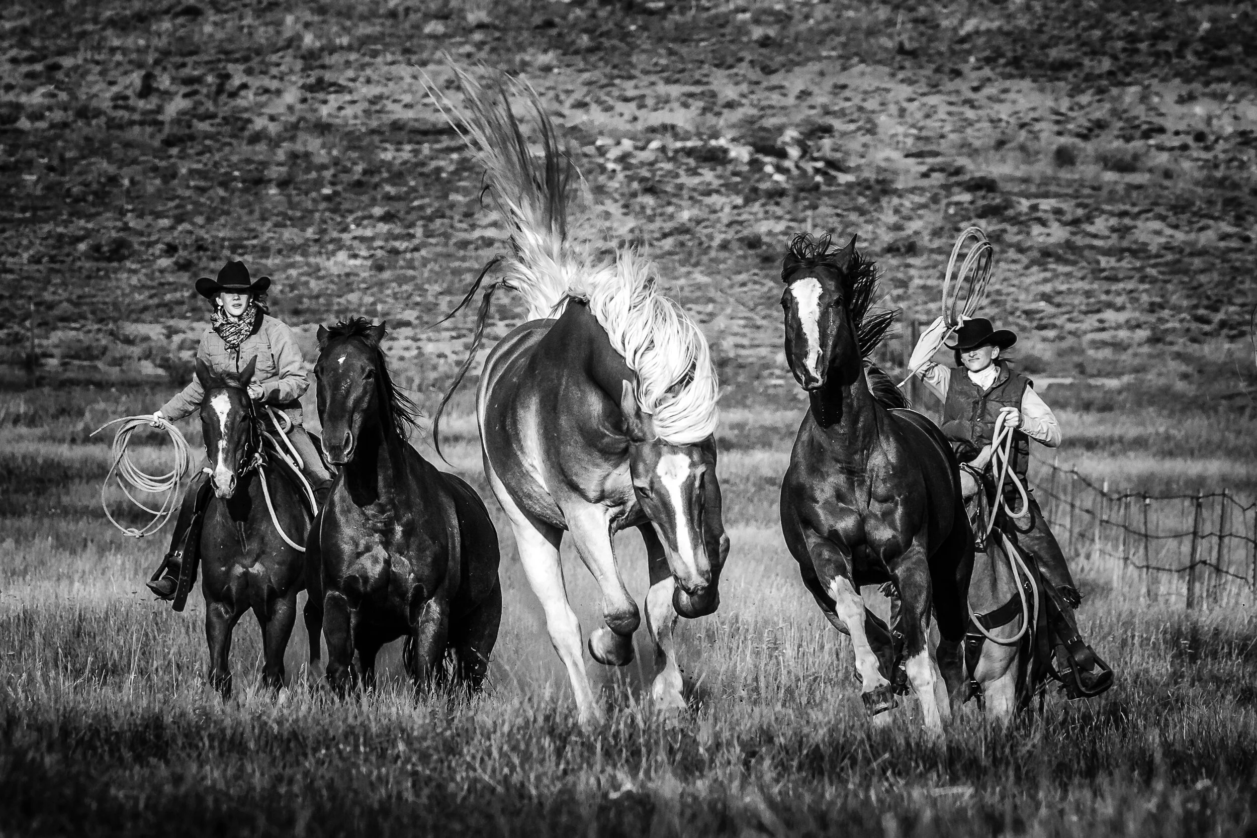 Can't Hold Me Back-1.jpg