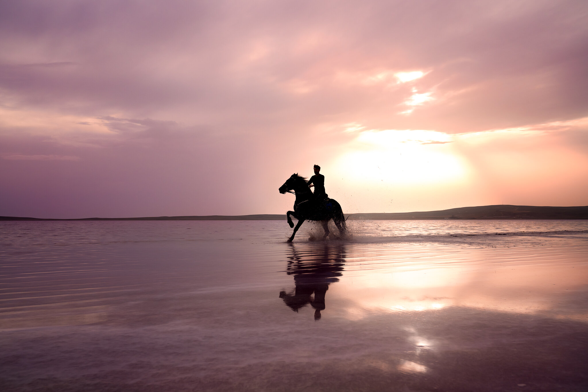 pink lake horse 2-1.jpg