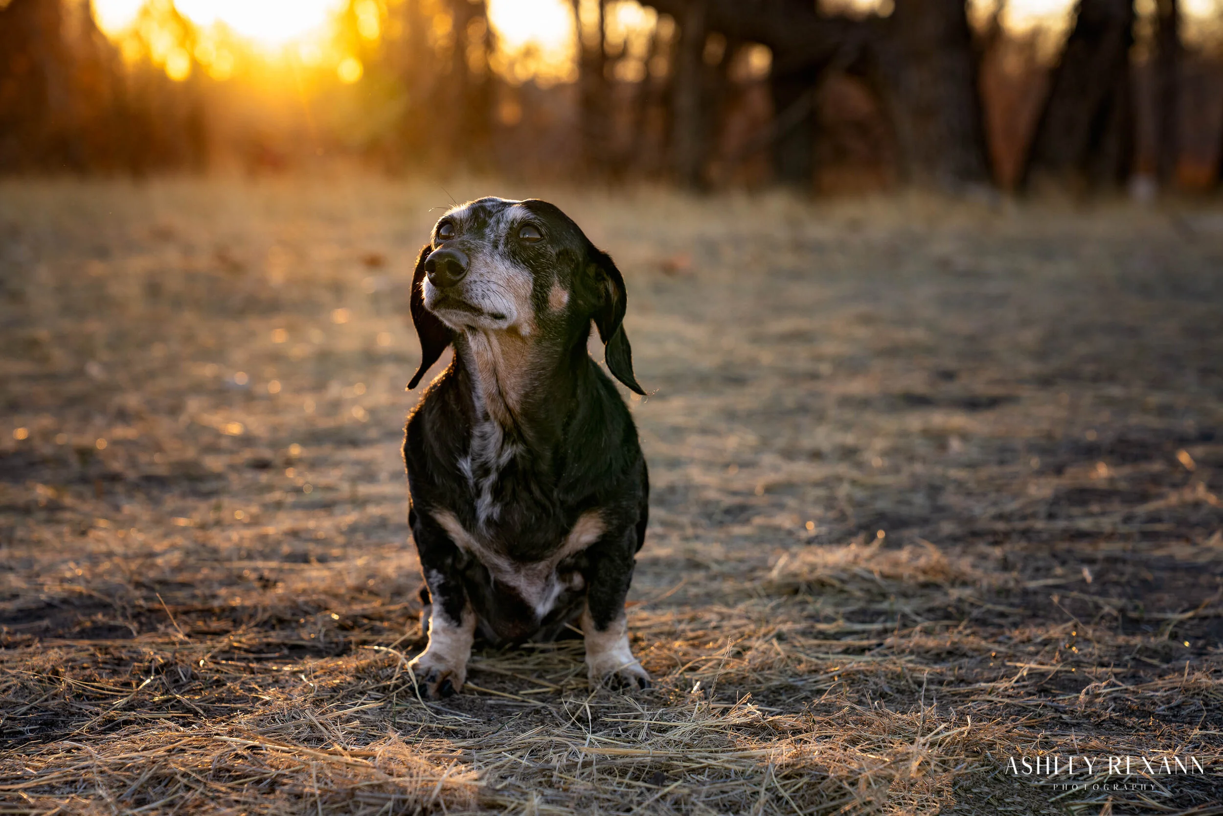 Kimber Small for Social Media-4.jpg