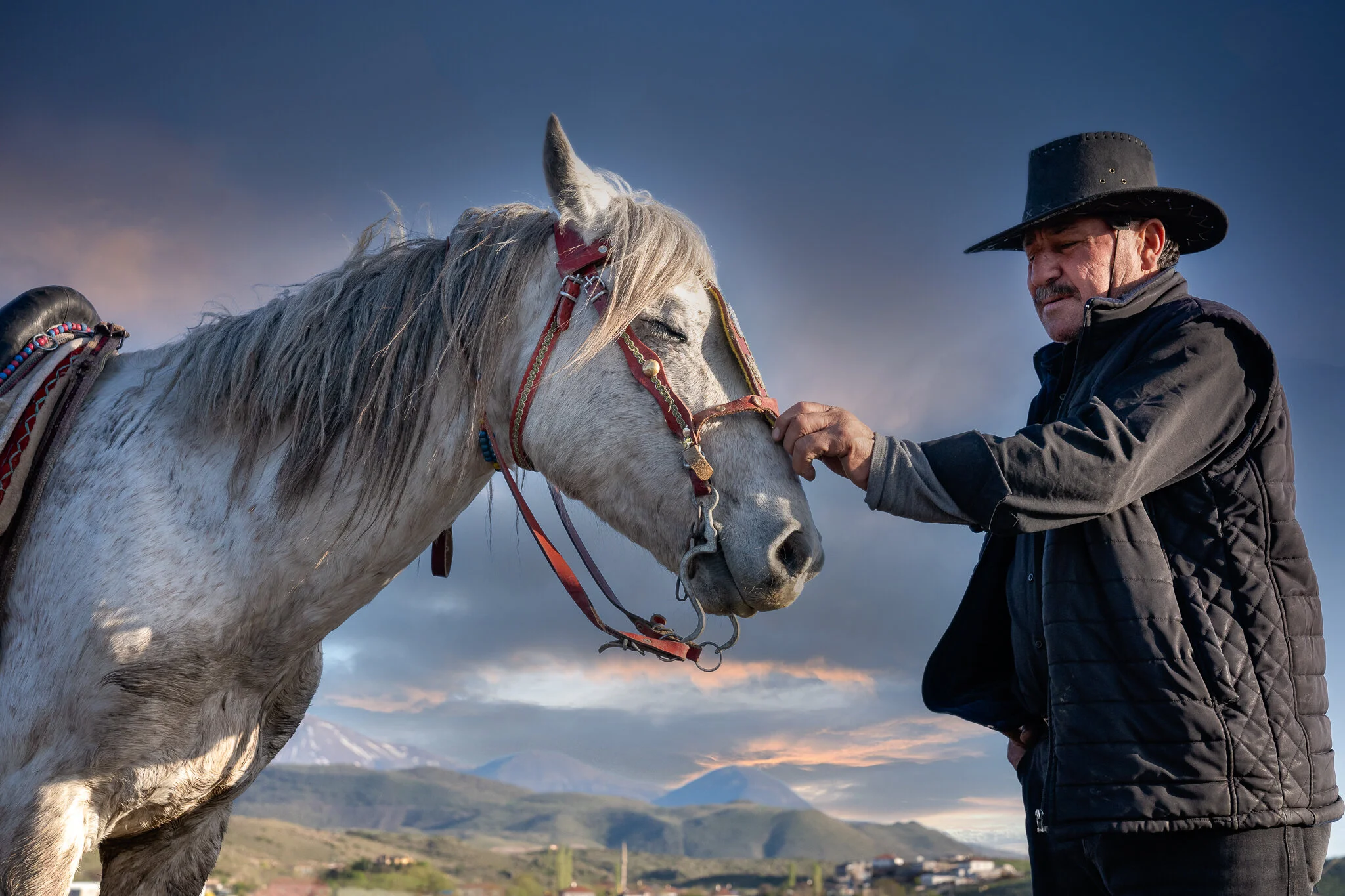 Horse wtih trainer  small.jpg