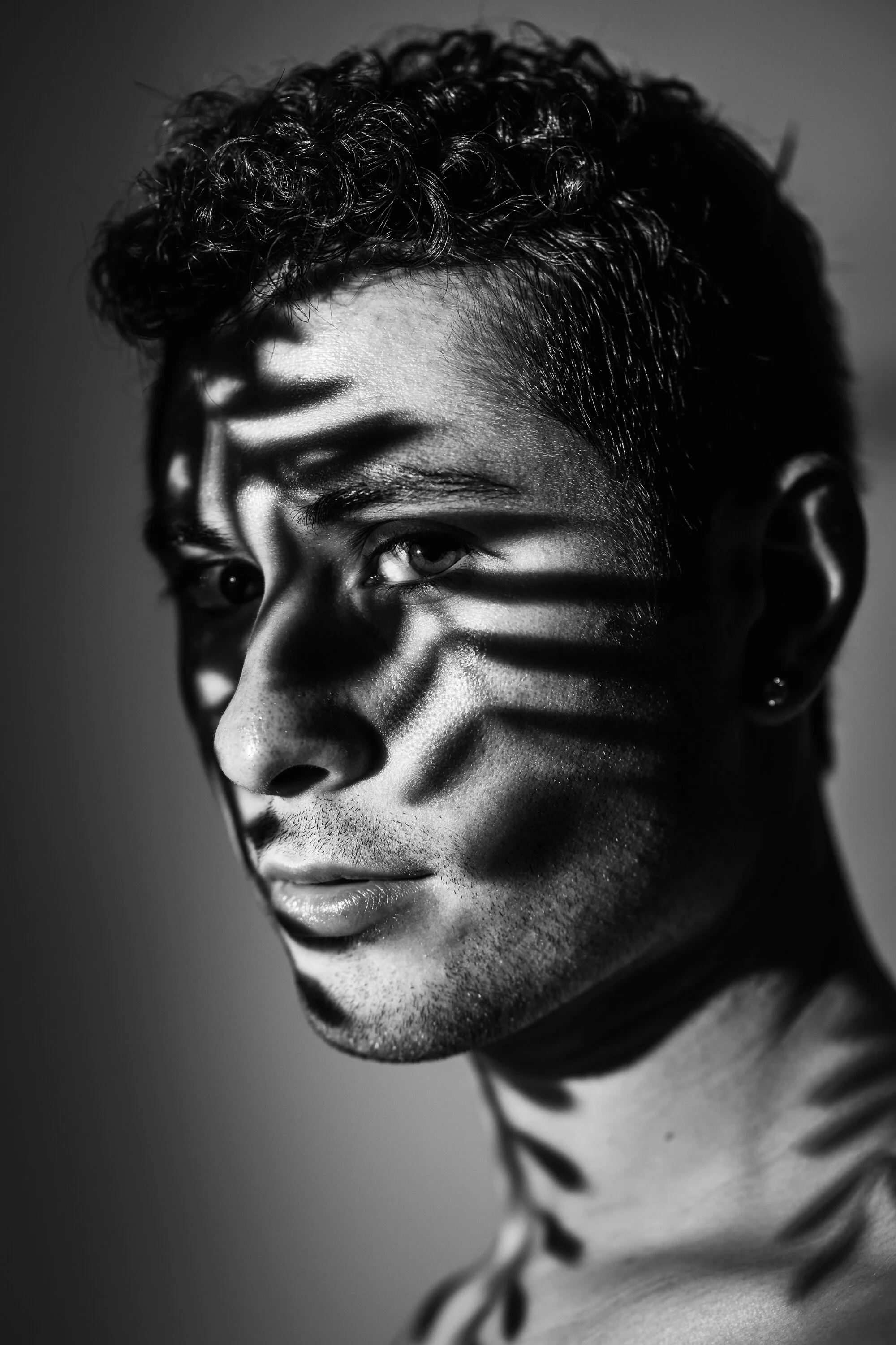 fern headshot sm-1.jpg