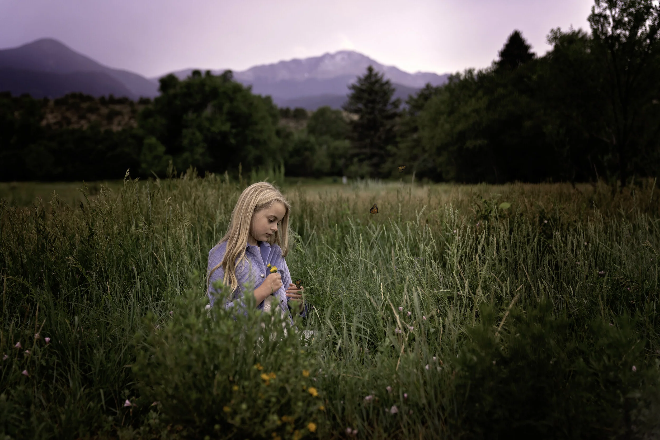 butteflies final.jpg