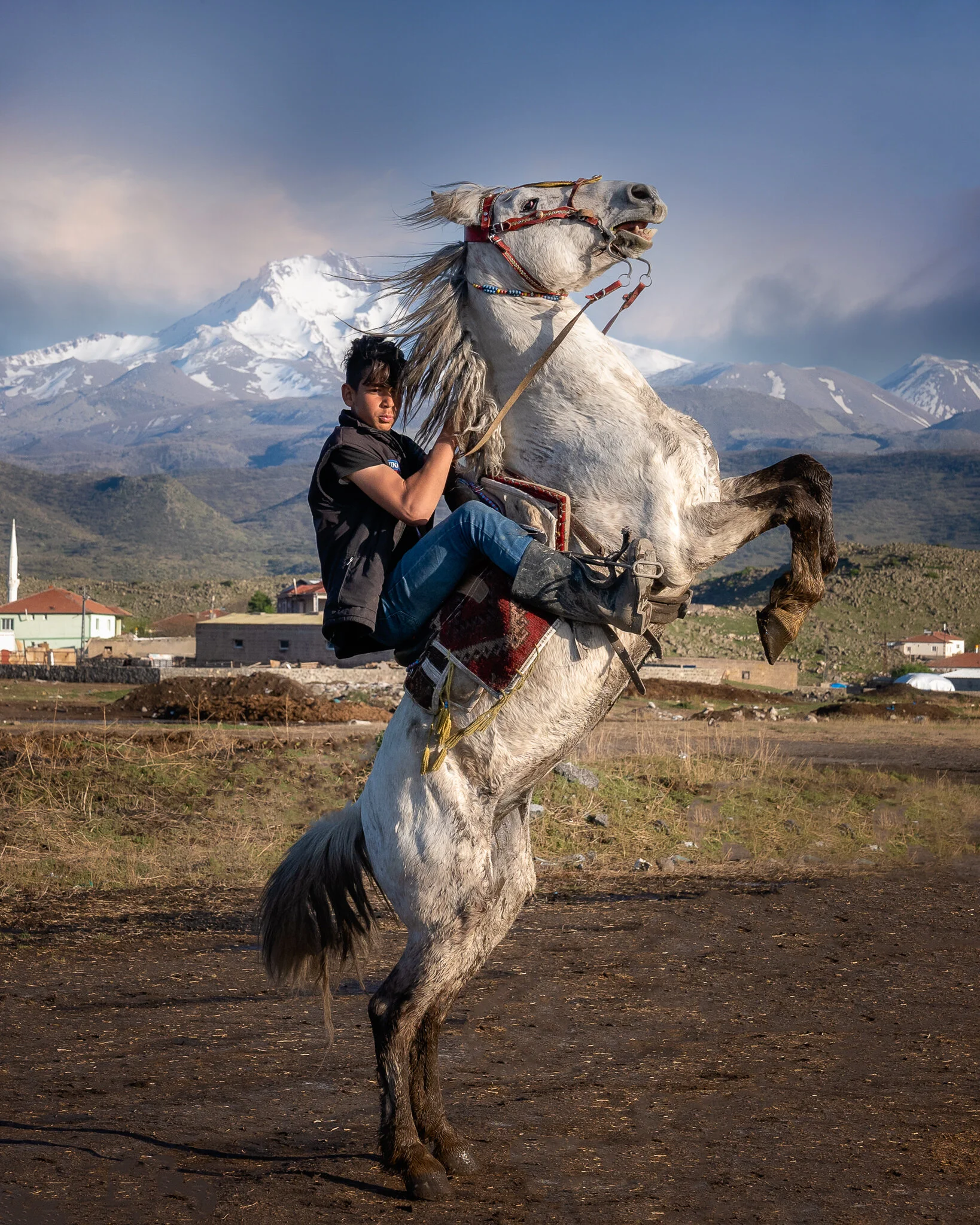 horse with teenager small.jpg