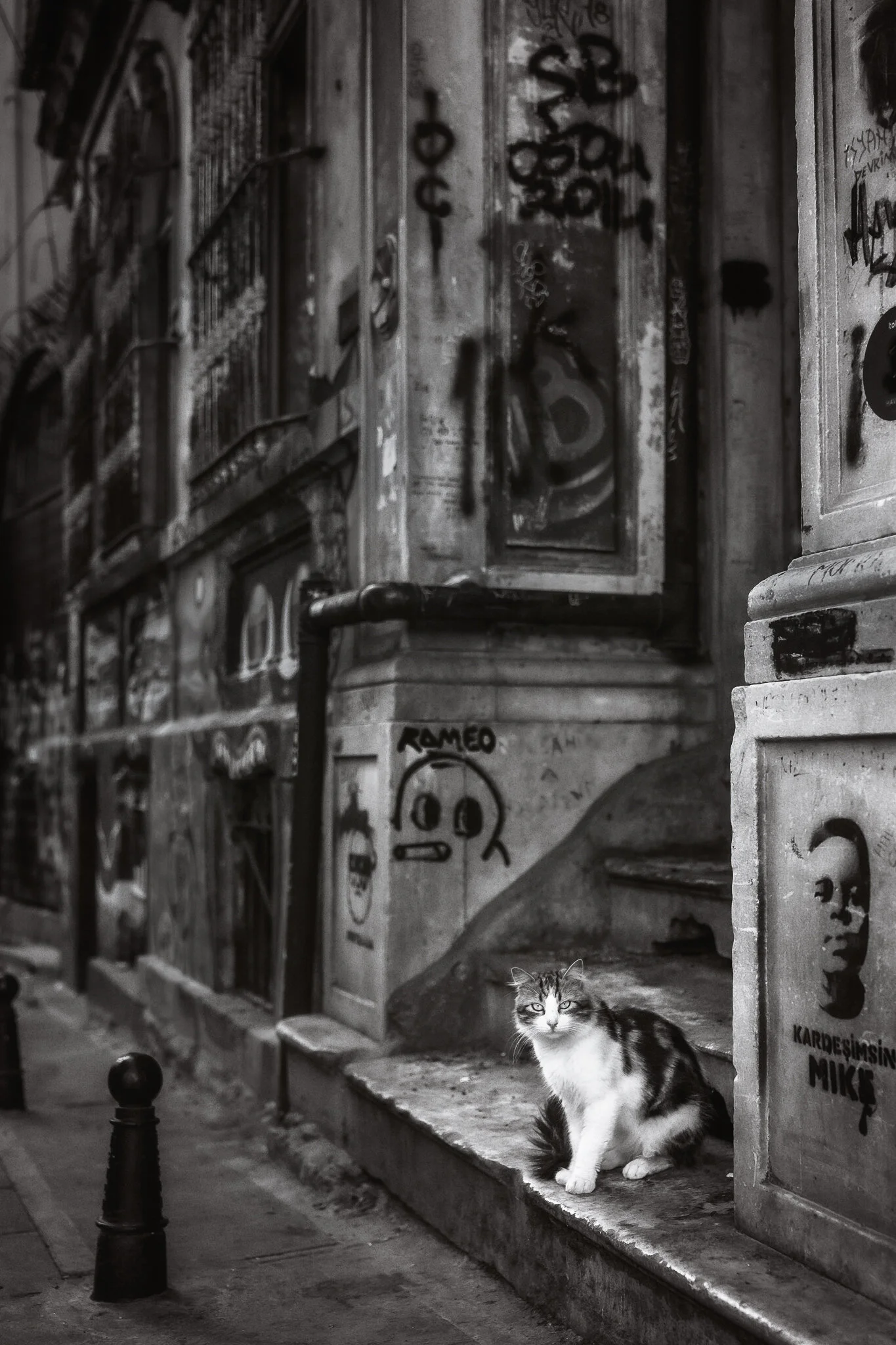 It's a Hard Knock Life.jpg