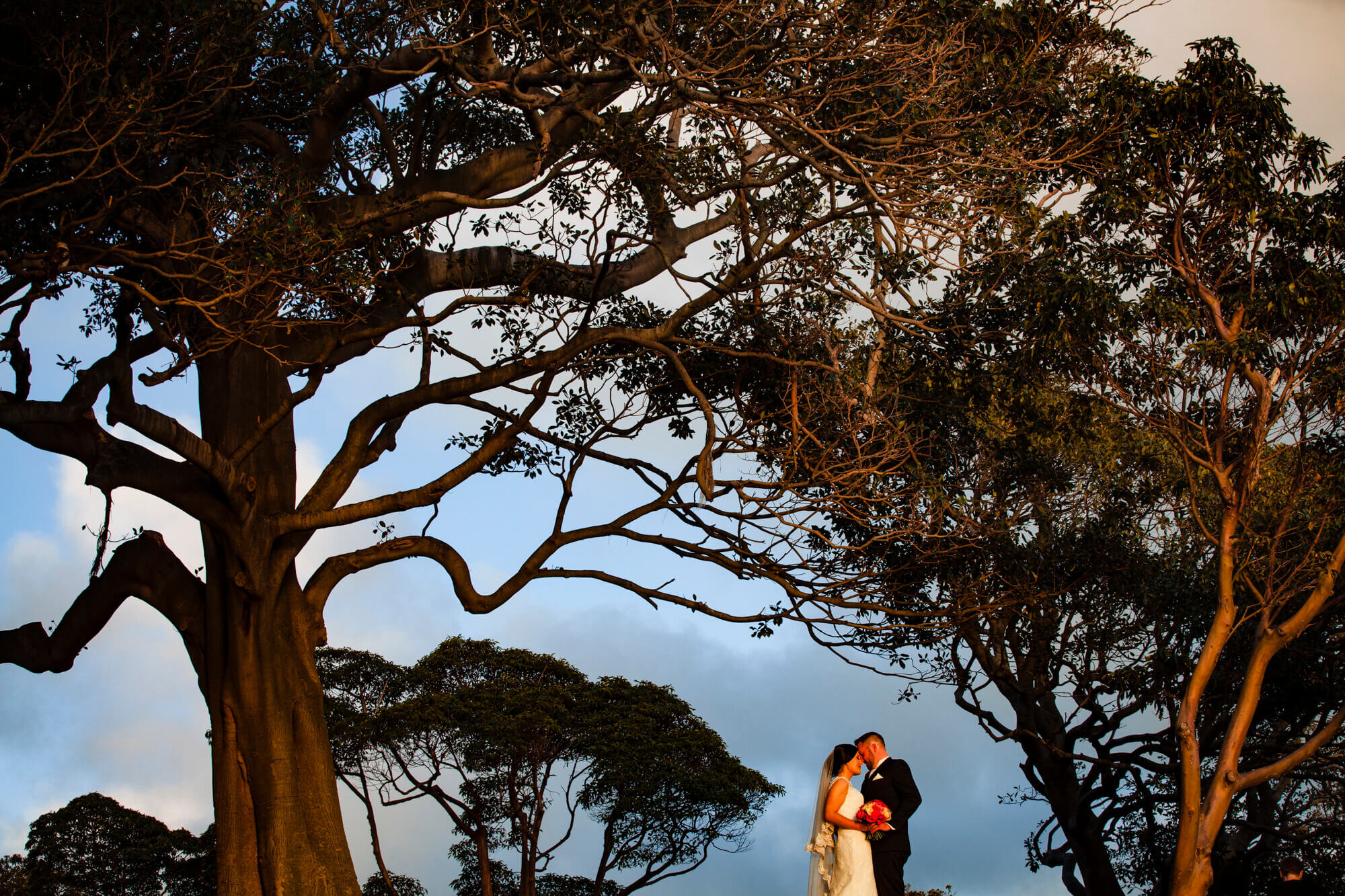 Amazing wedding photo at the Hunter Valley