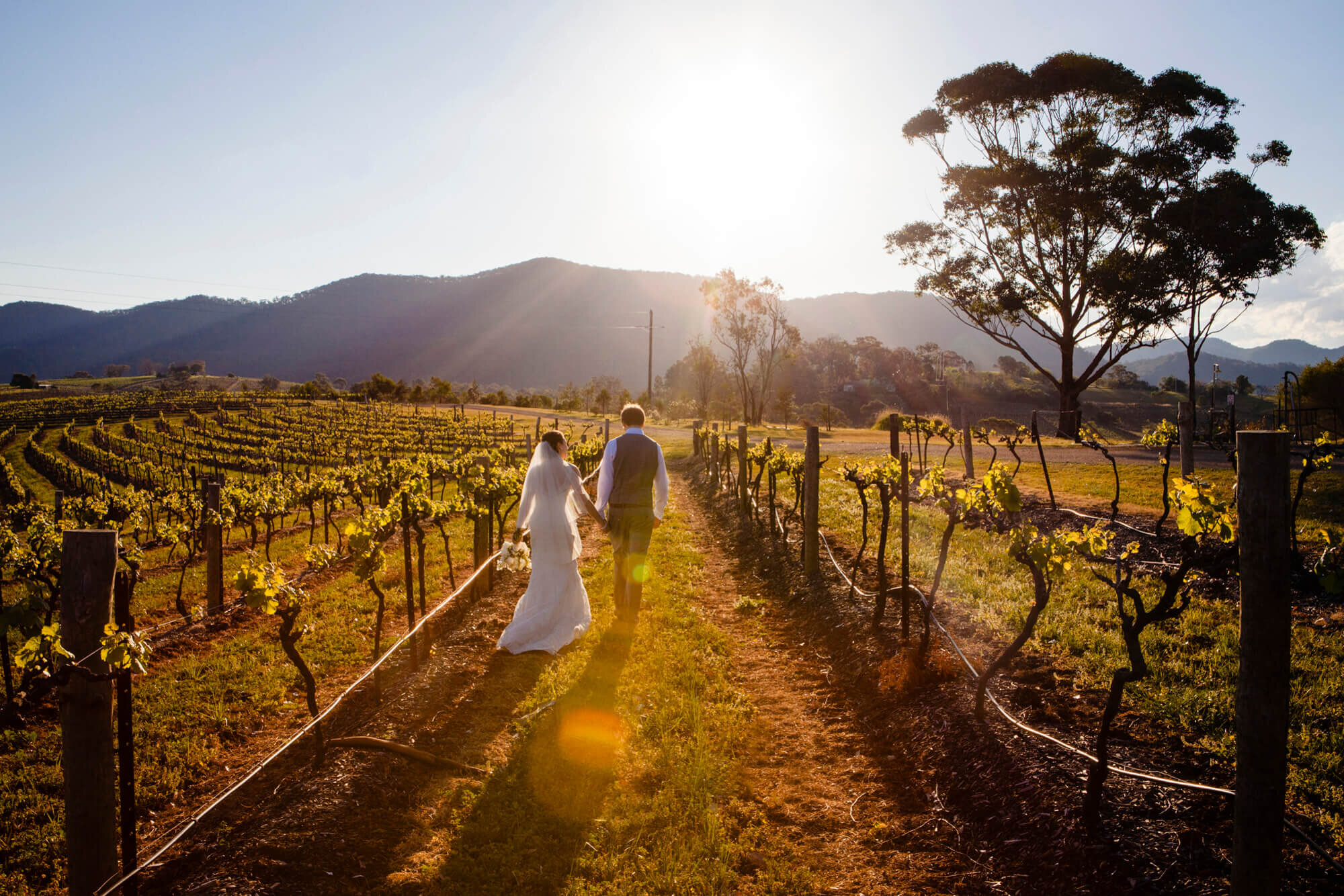 Newcastle and Hunter Valley wedding photographer