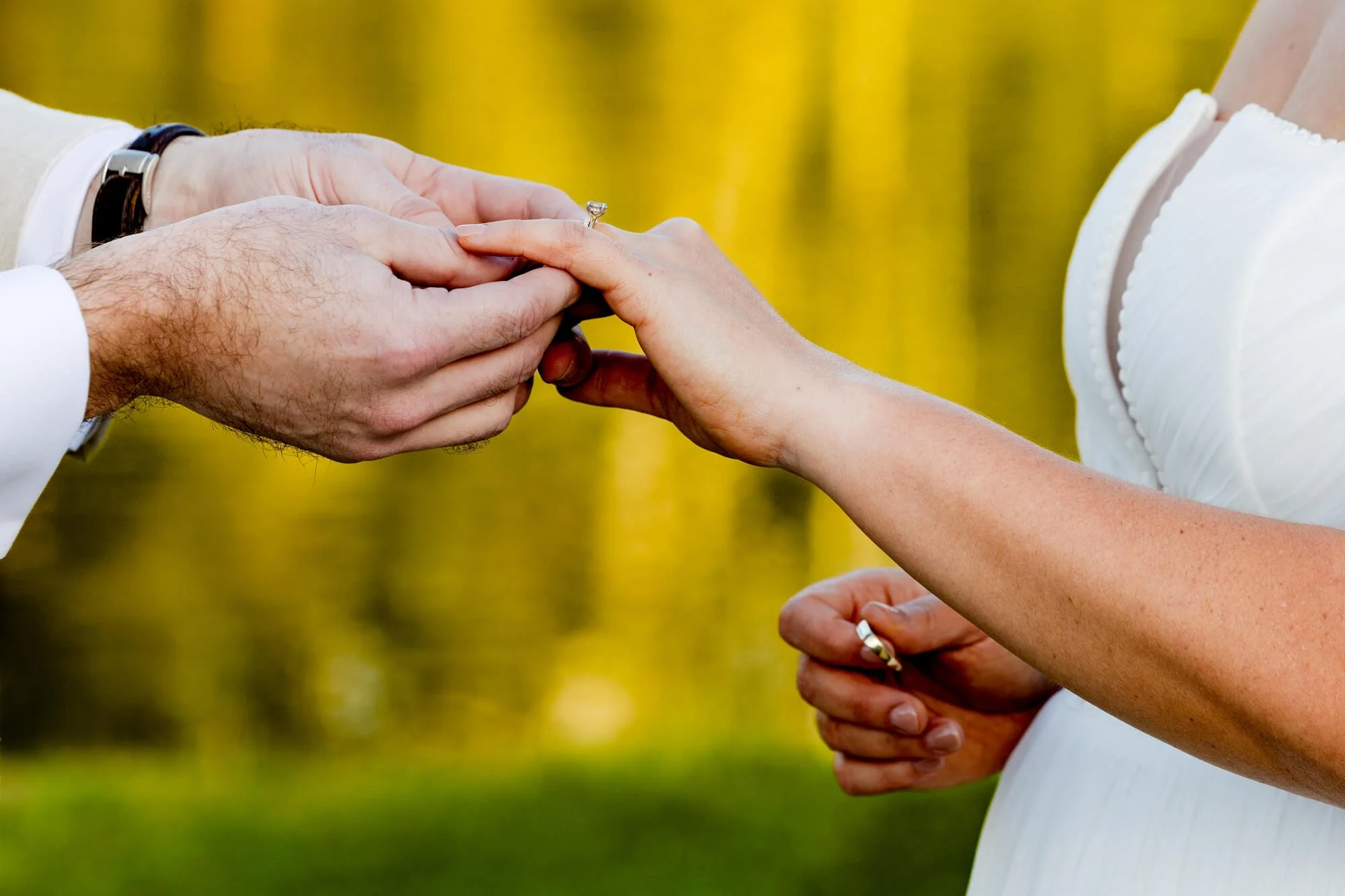 Detail of ring exchange