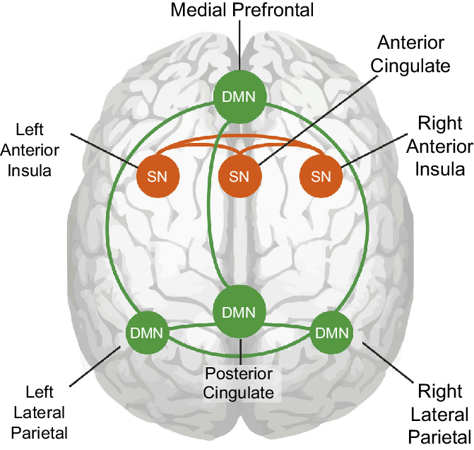 The neurocircuitry of wisdom
