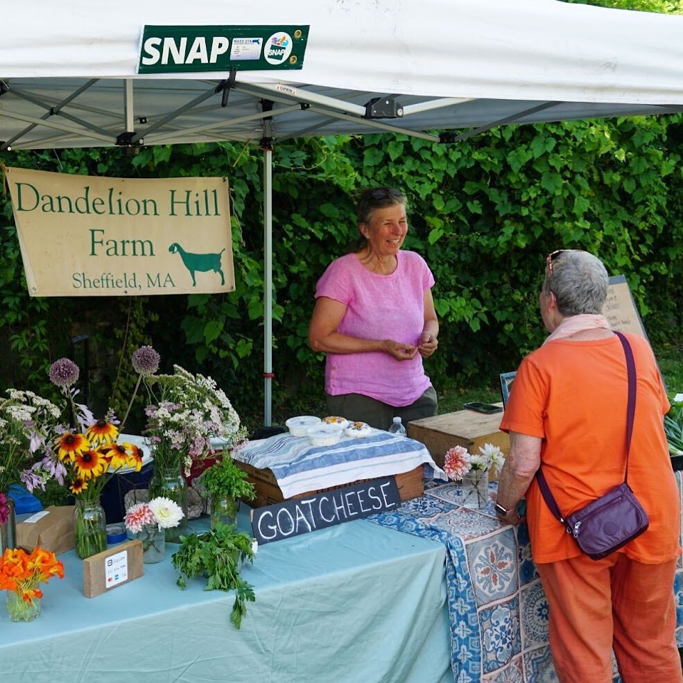 Join us in celebrating National Farmers Market Week from August 6th &ndash; 12th! 

Farmers Markets play an essential role in our local food economy. They support qfarmer&rsquo;s businesses, provide direct access to nutritious local foods, and cut do