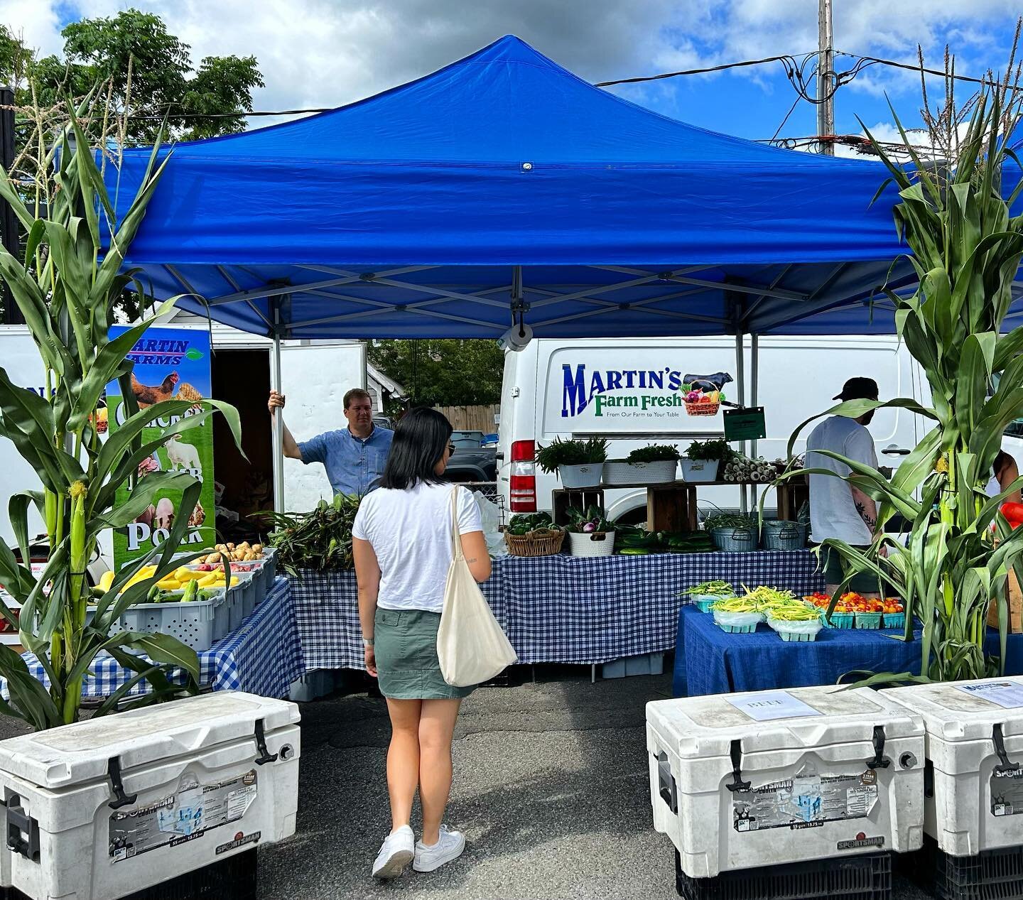 BAV is proud to support our farmers markets through our Market Match Fund! Although this program is only in its second year of operation, it has already made a huge difference across our communities. 

BAV has directed $258,000 across 11 Berkshire-ar