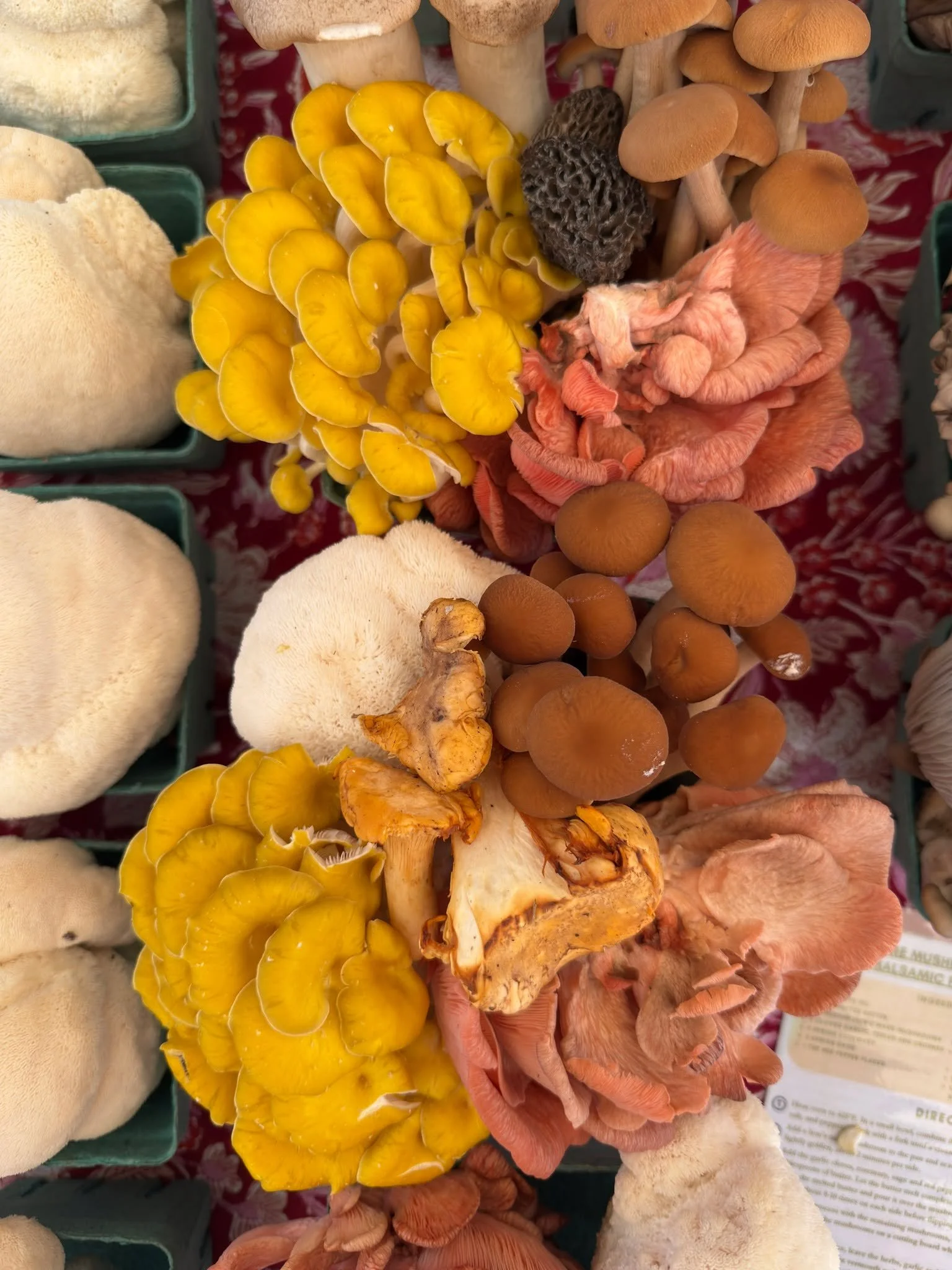 It's National Farmers Market Week! 🍑🥩🌽🥖
Our gratitude goes out to all the market managers, farmers, shoppers, and many other folks behind the scenes who make our local farmers markets vibrant community spaces and food access points. BAV is proud 