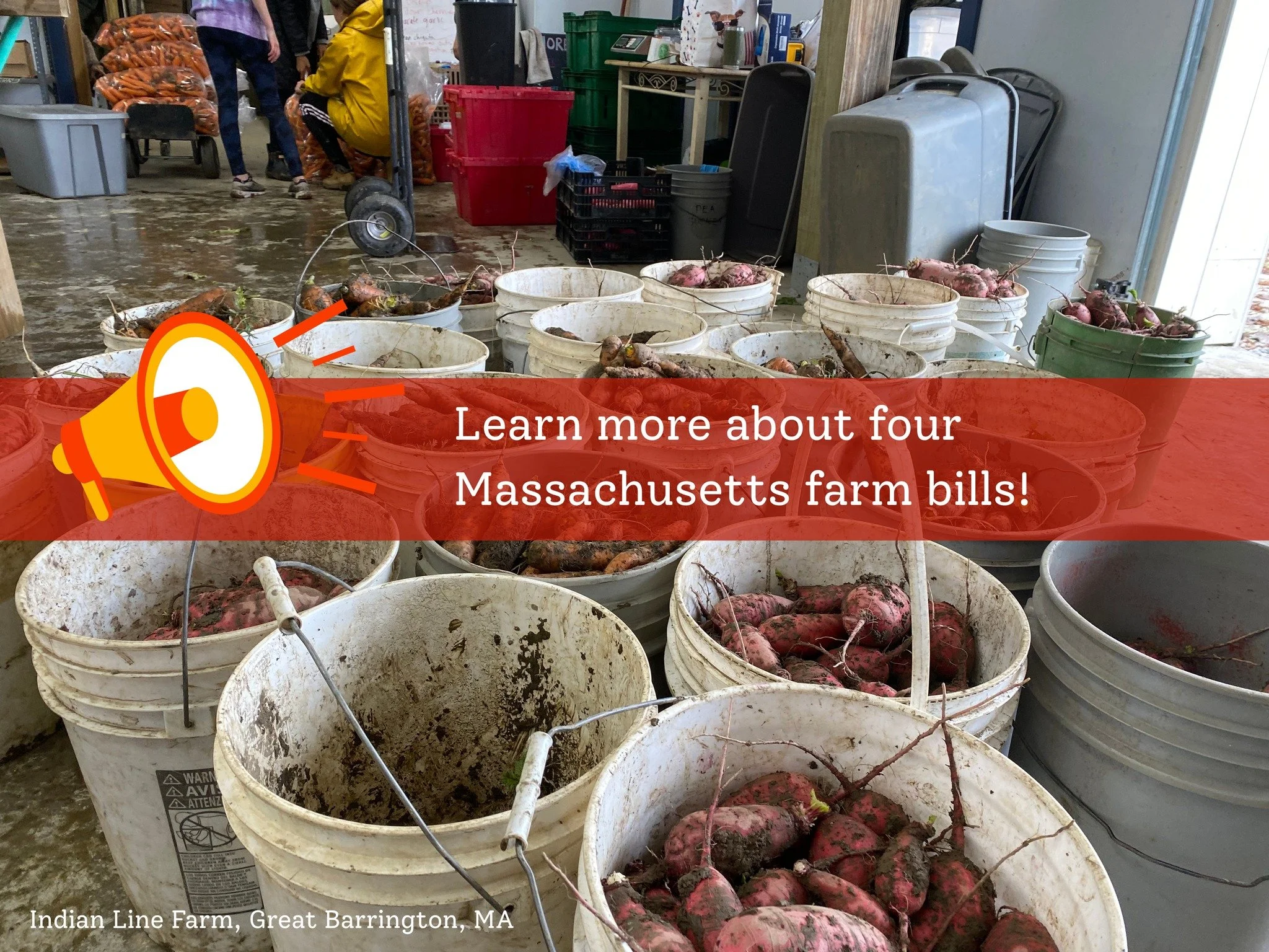 📣📣Attention, Massachusetts folks!! BAV is excited to spread the word about four bills currently before the legislature that could have a significant positive impact on local farms and the local food system. One of the bills, introduced by our own @